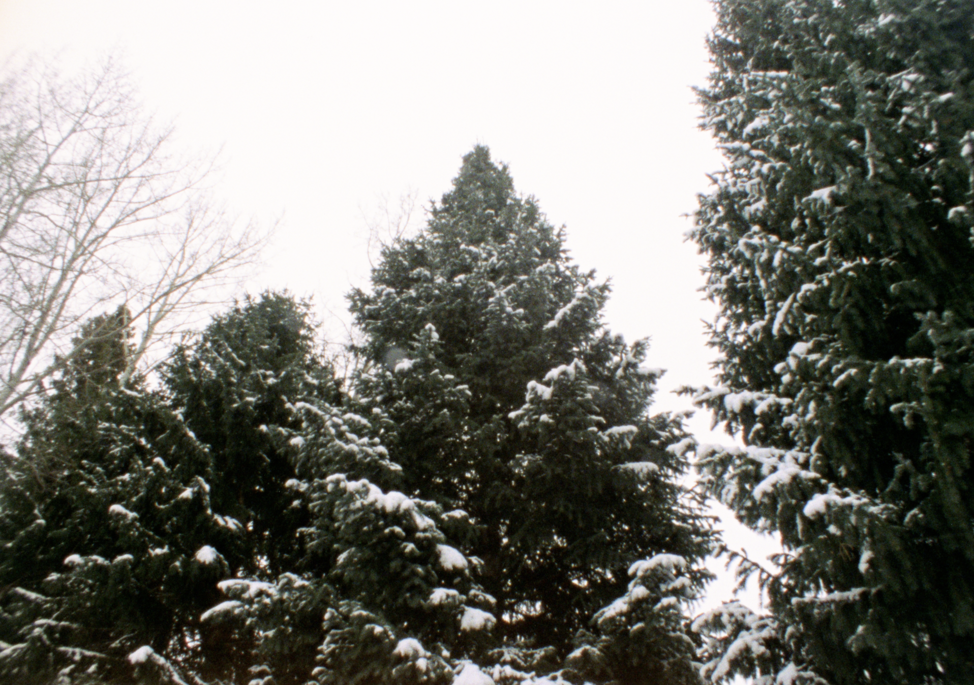 Screenshot 2025-12-17 at 12.33.53 PM.png