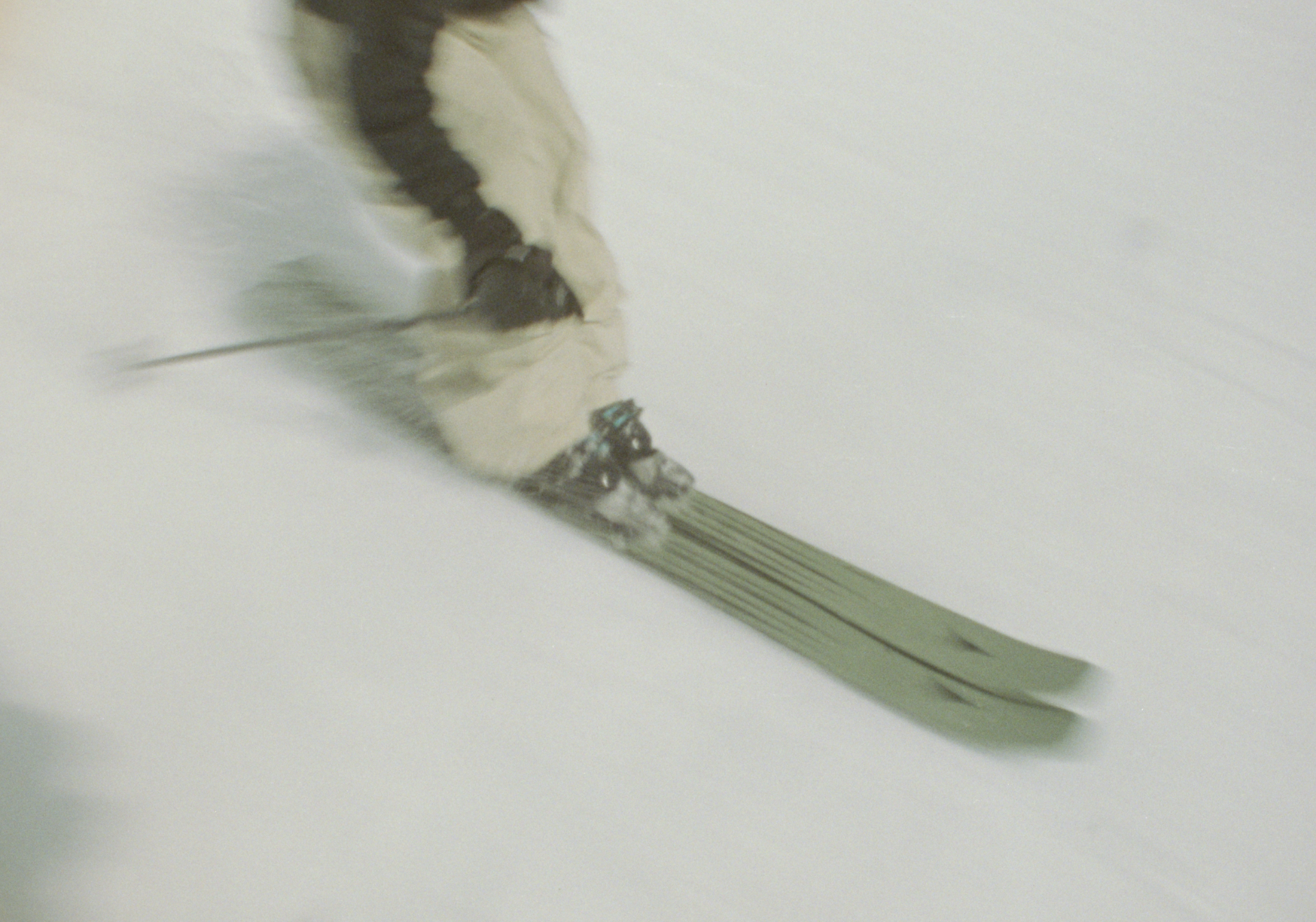 Screenshot 2025-12-17 at 12.31.06 PM.png