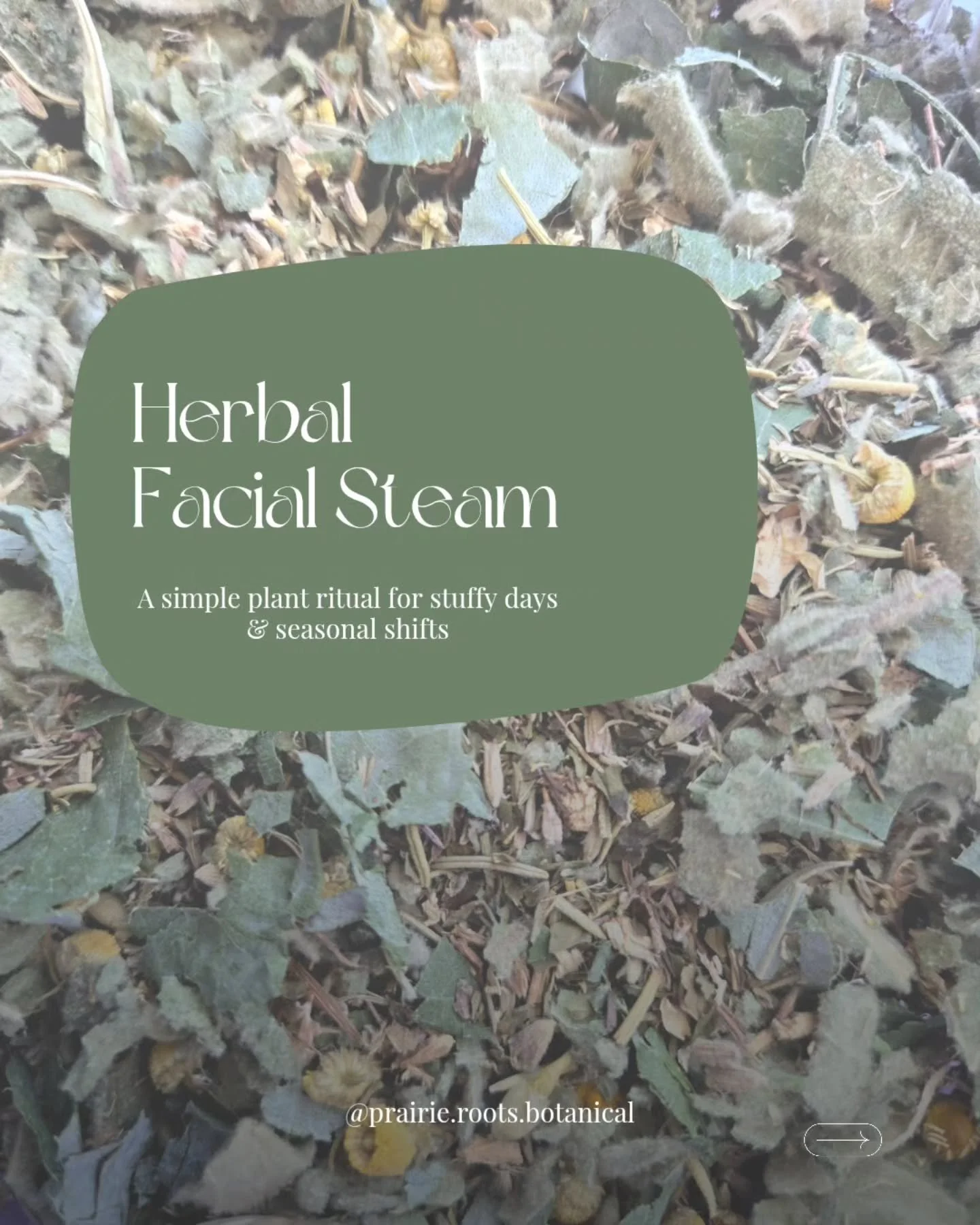 Yesterday I made a custom herbal steam blend for someone dealing with congestion and sinus inflammation 🌿

Herbal steams are one of those simple herbal creations that many people forget about, but they can feel incredibly soothing when you're stuffe