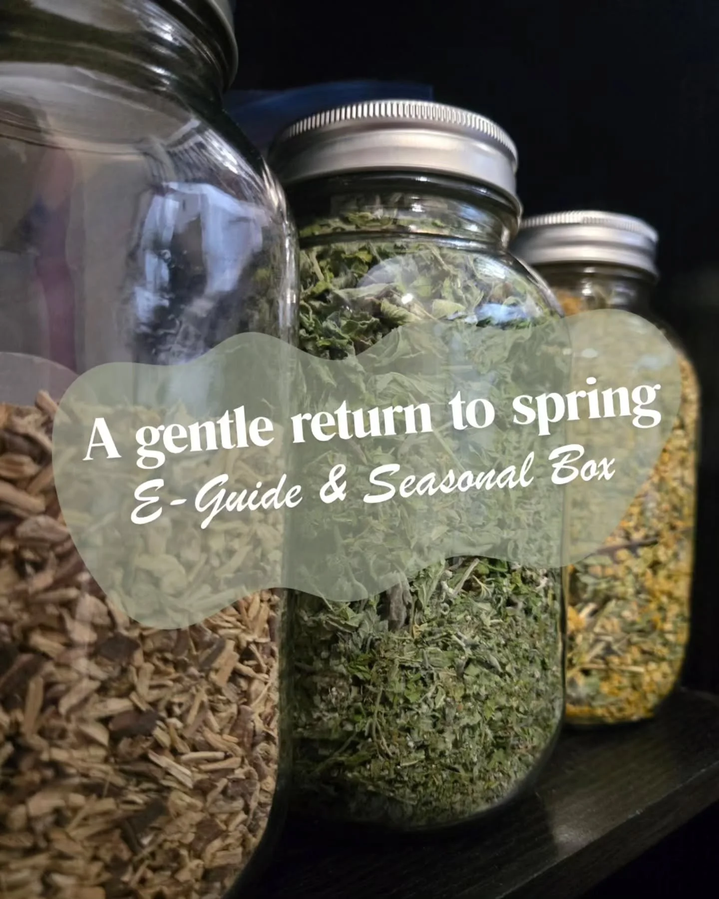 Spring is slowly unfolding here on the prairie&hellip; and with it, a few new offerings I&rsquo;ve been quietly working on 🌿

My Spring Companion E-Guide is now available - a gentle, grounding little resource to help you move into the spring season 
