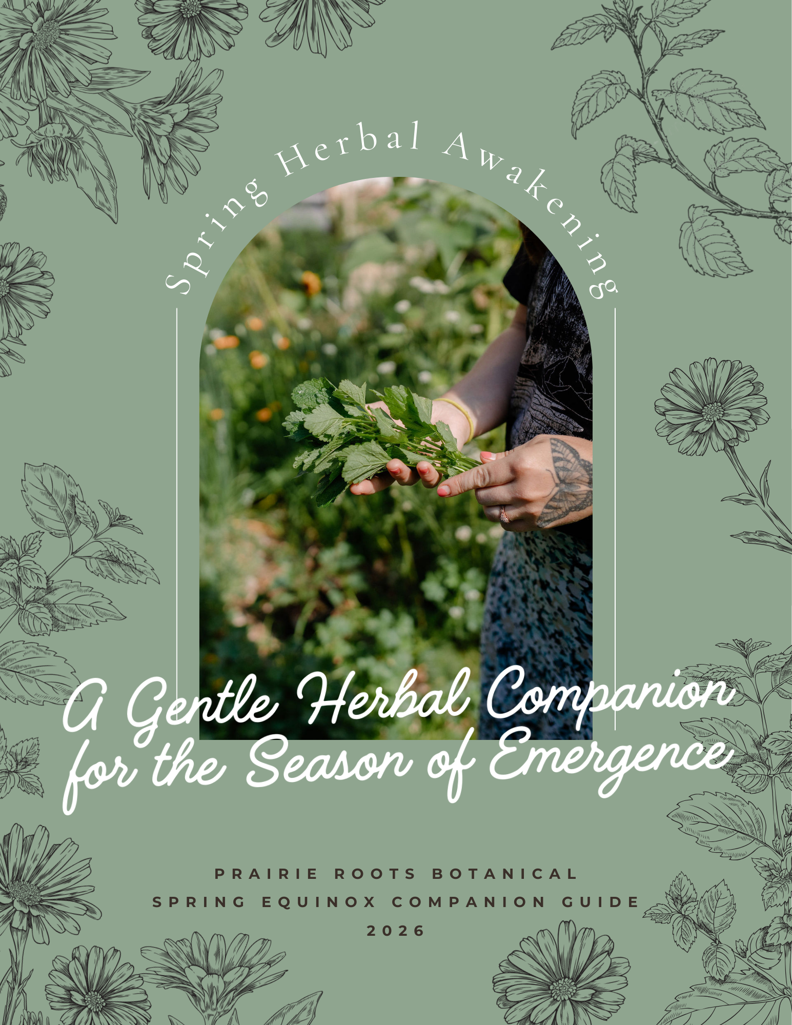 Prairie Roots Botanical Spring Herbal Awakening Guide 2026.png