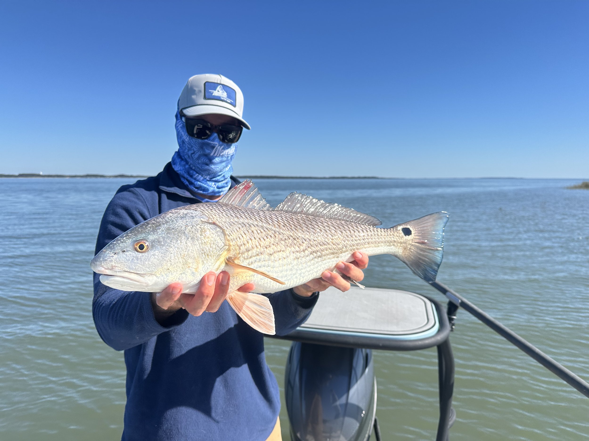 A person wearing a cap, sunglasses, and a blue bandana covering their face, holding a large fish on a boat in a body of water under a clear blue sky.