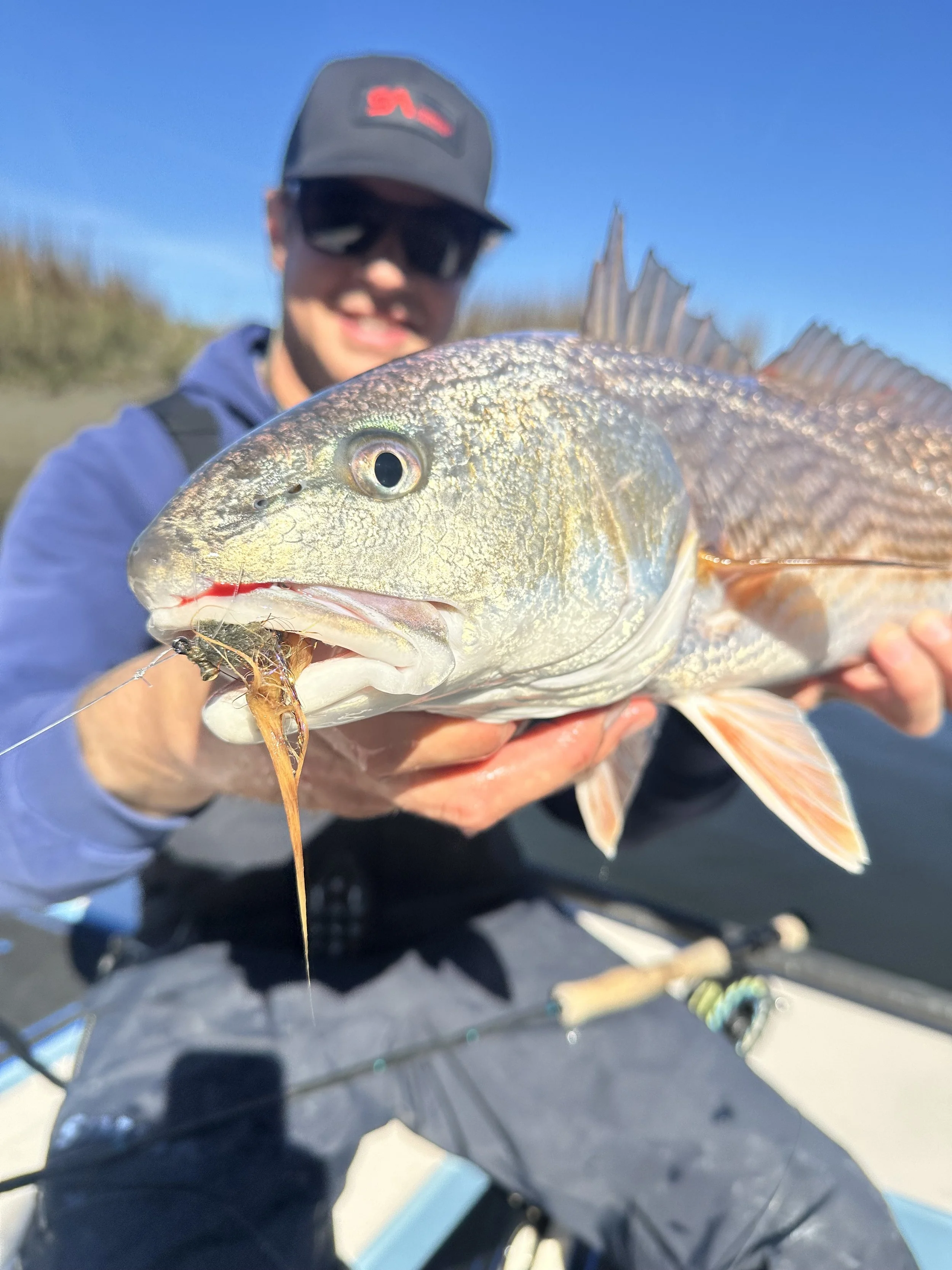 Person holding a large fish with a fishing lure in its mouth, outdoors on a sunny day.