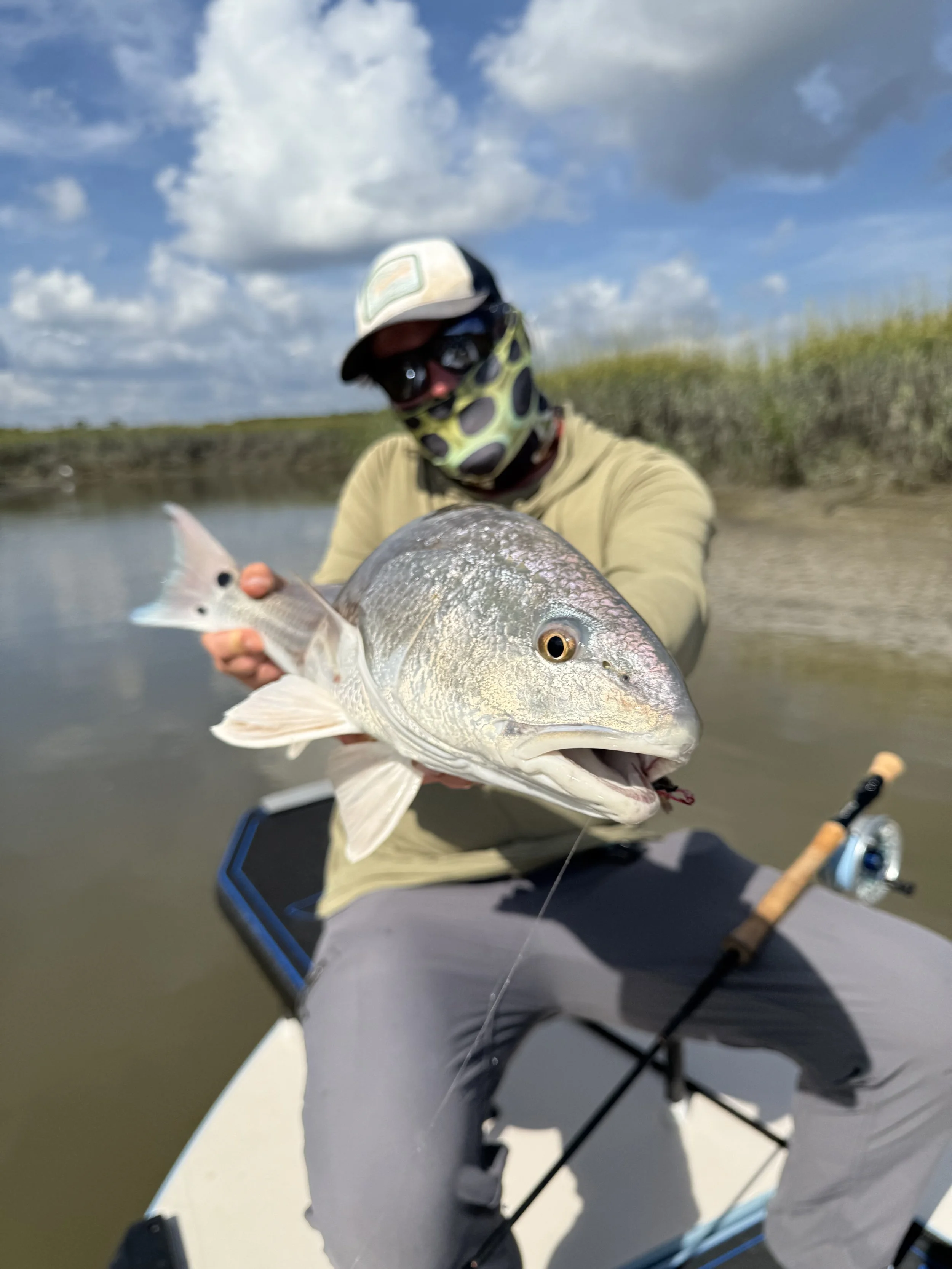 Person in a boat holding a large fish with a yellowish-gray body and a wide mouth, outdoors on a body of water with cloudy sky and marsh grass in the background.