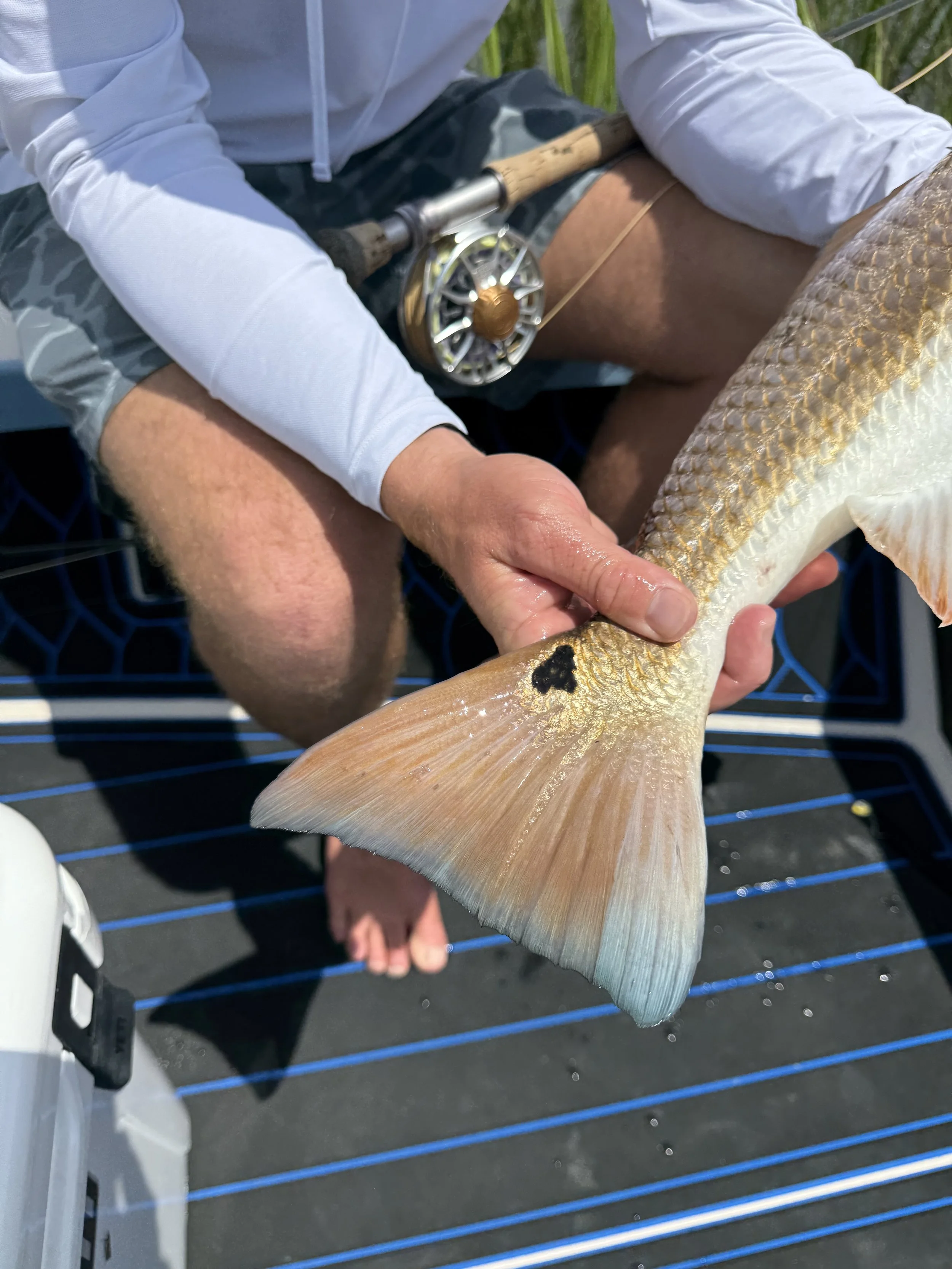 Person holding a fish with a fly fishing rod resting on their lap, standing on a boat or dock.