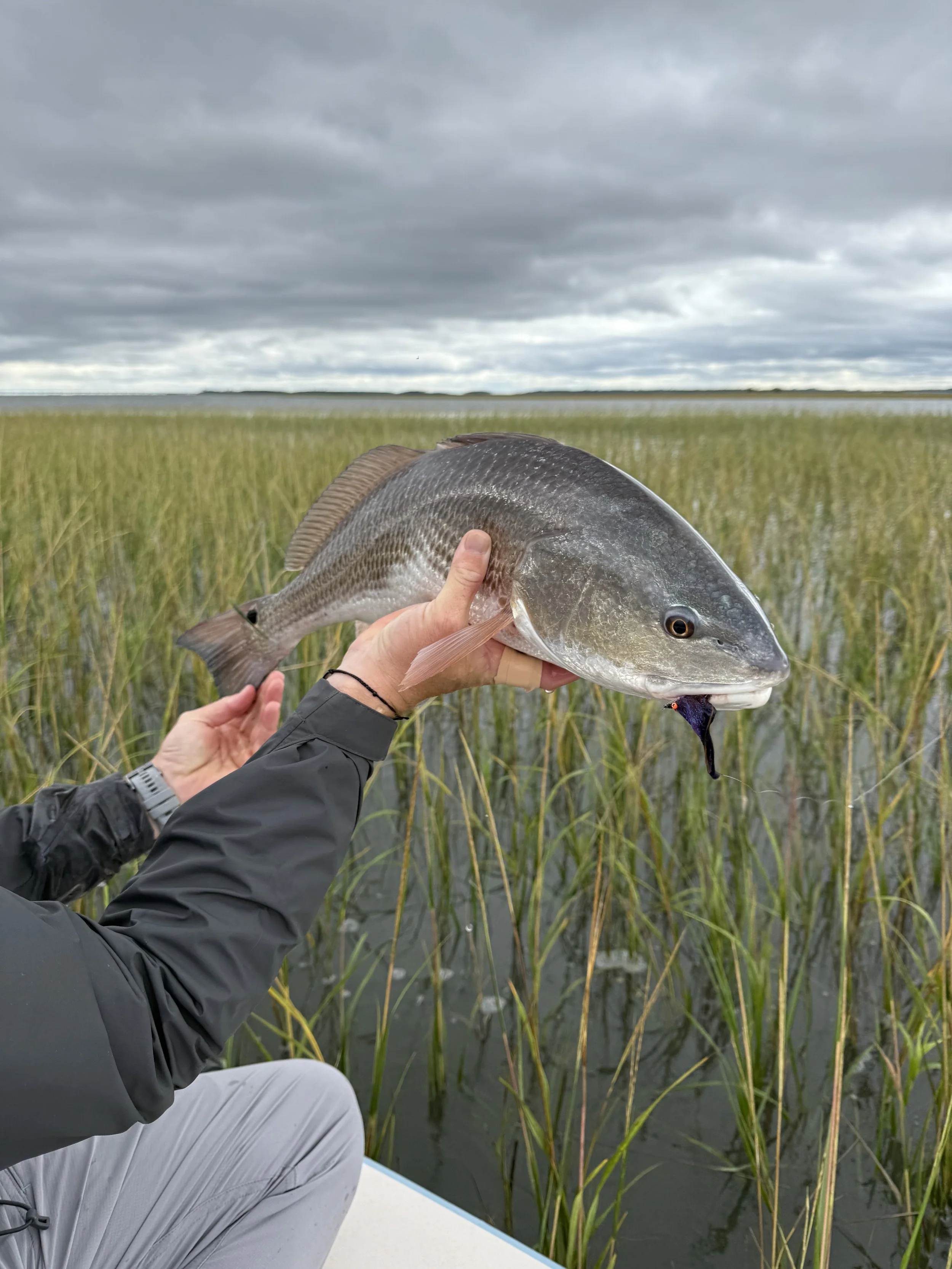 Person holding a large fish over a marshy water area with tall grass, under a cloudy sky.