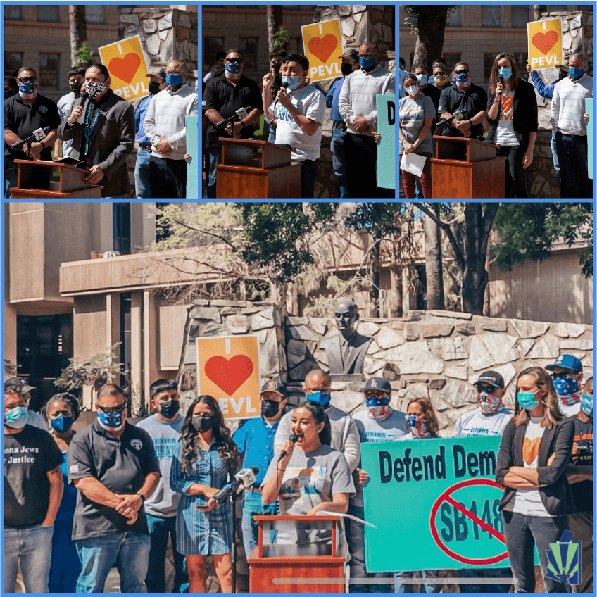 2021 AZ Canvass + Organizer Model