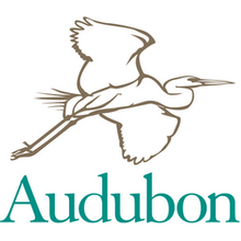 National_Audubon_logo.png