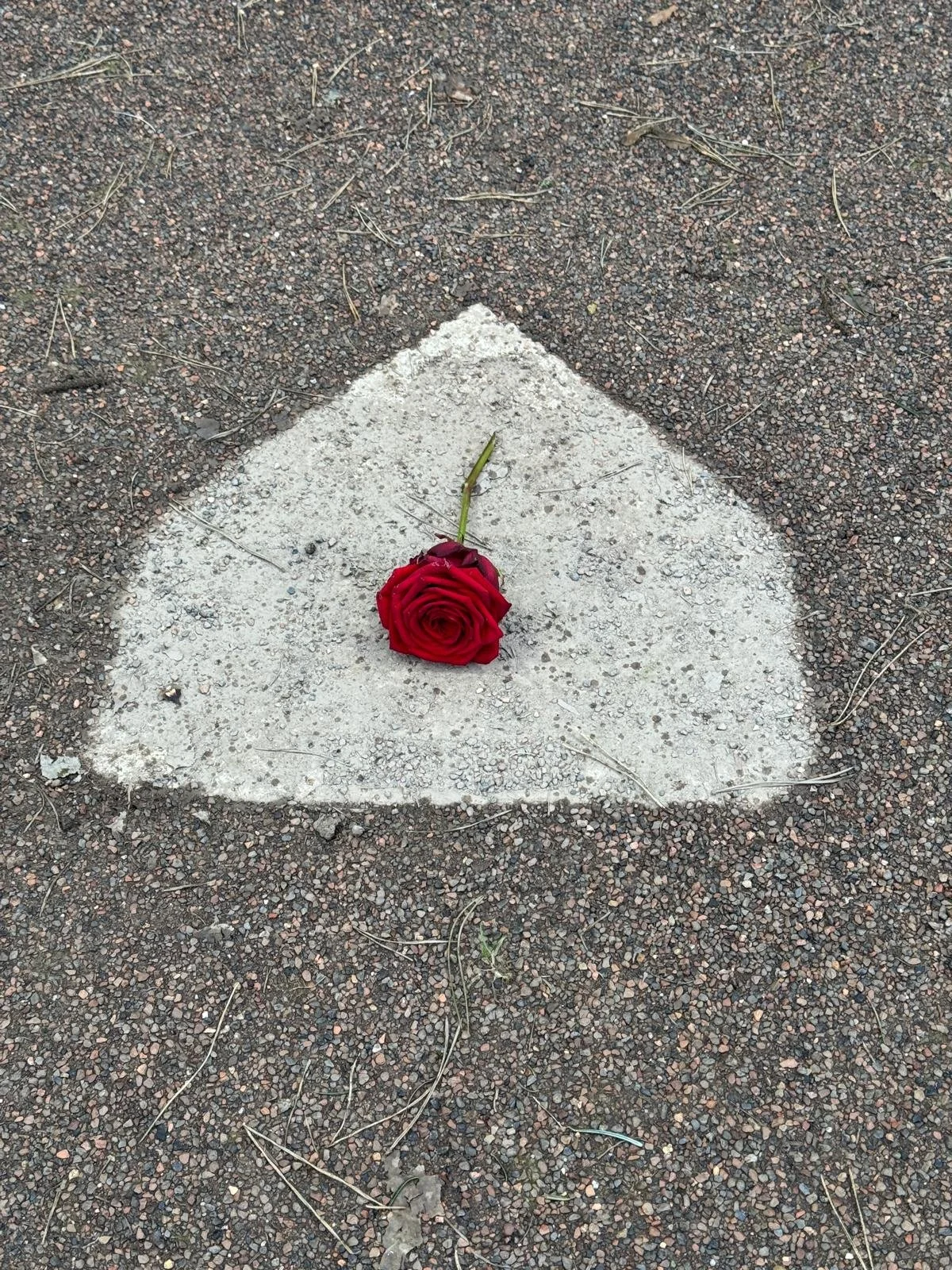 WhatsApp Image 2026-02-21 at 16.02.173.jpeg