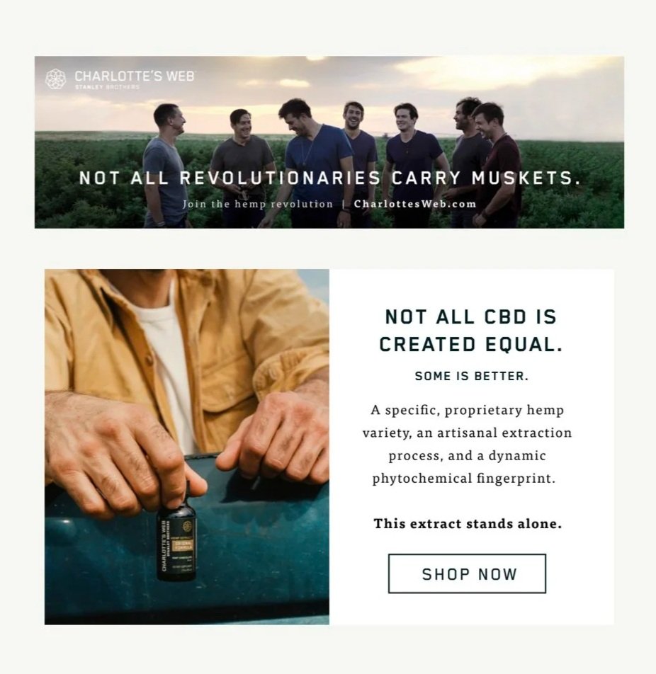 Boston-area billboard for Charlotte's Web CBD founders, the Stanley Brothers reads "Not All Revolutionaries Carry Muskets" by Mary Joan Cunningham. Website module below for The Original Formula. Copy & creative direction by Mary Joan Cunningham