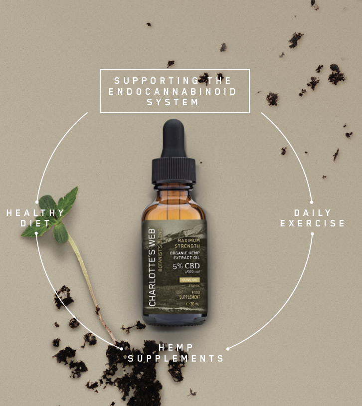 Charlotte's Web CBD benefits and educational endocannabinoid system explainer copy by Mary Joan Cunningham.