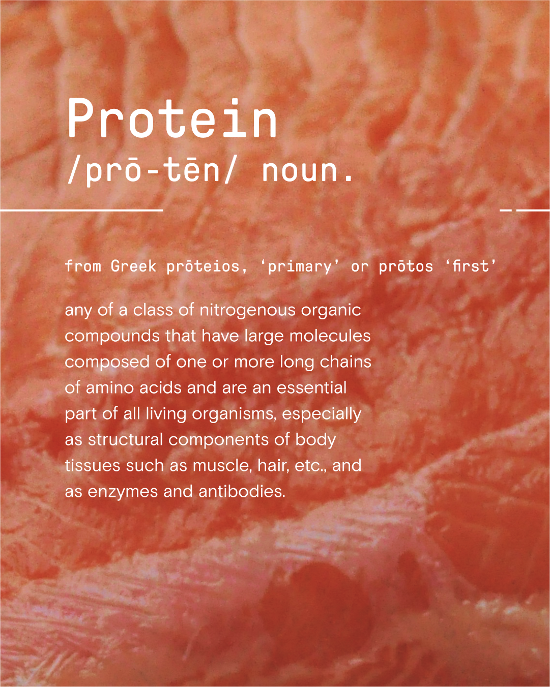 Instagram social post with a close-up of raw salmon with overlaid text defining the word 'Protein' and its description. Strategy, creative direction and copy by Mary Joan Cunningham for AmplifyP24 brand launch. 