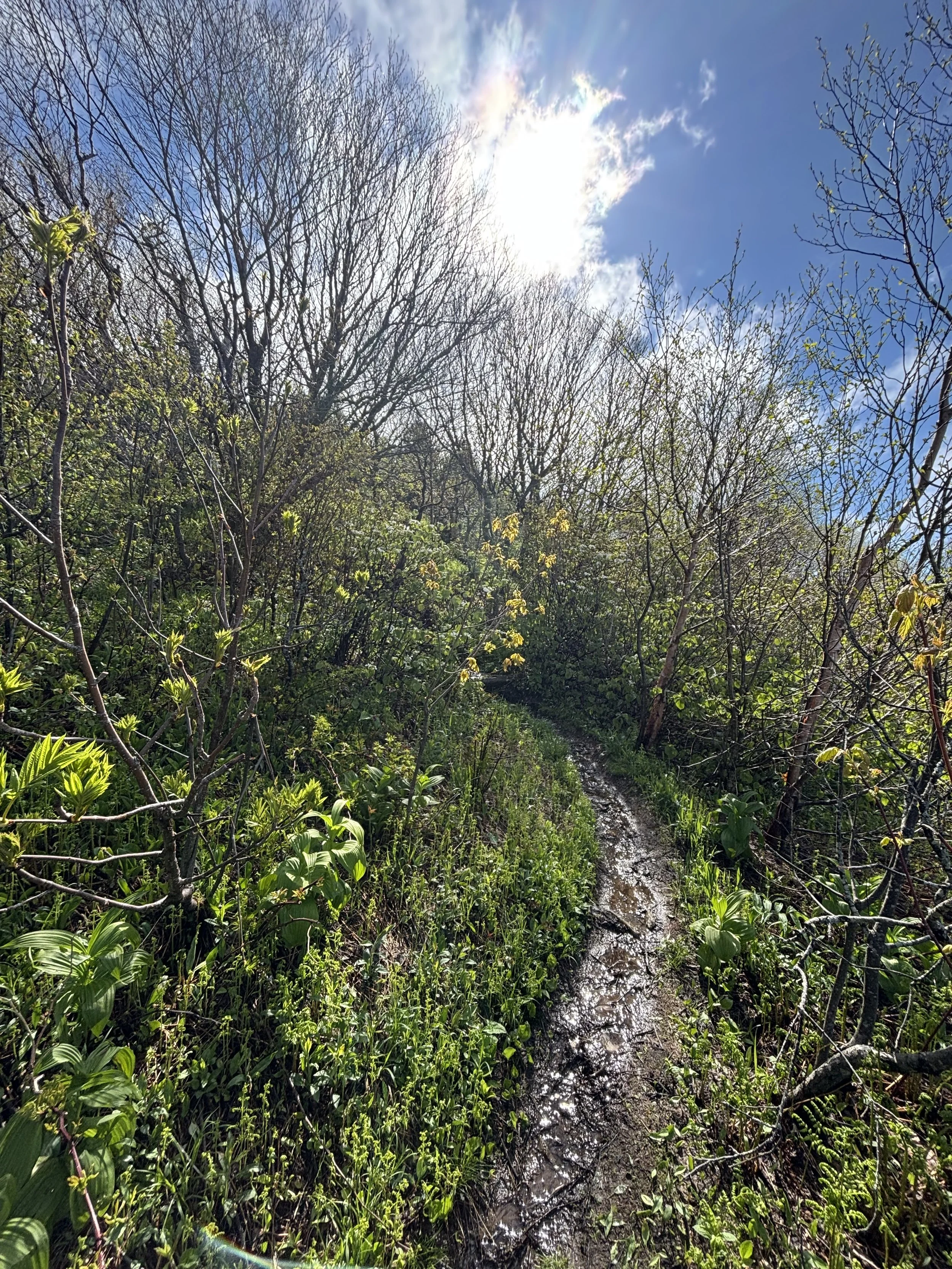 Know Where You Stand