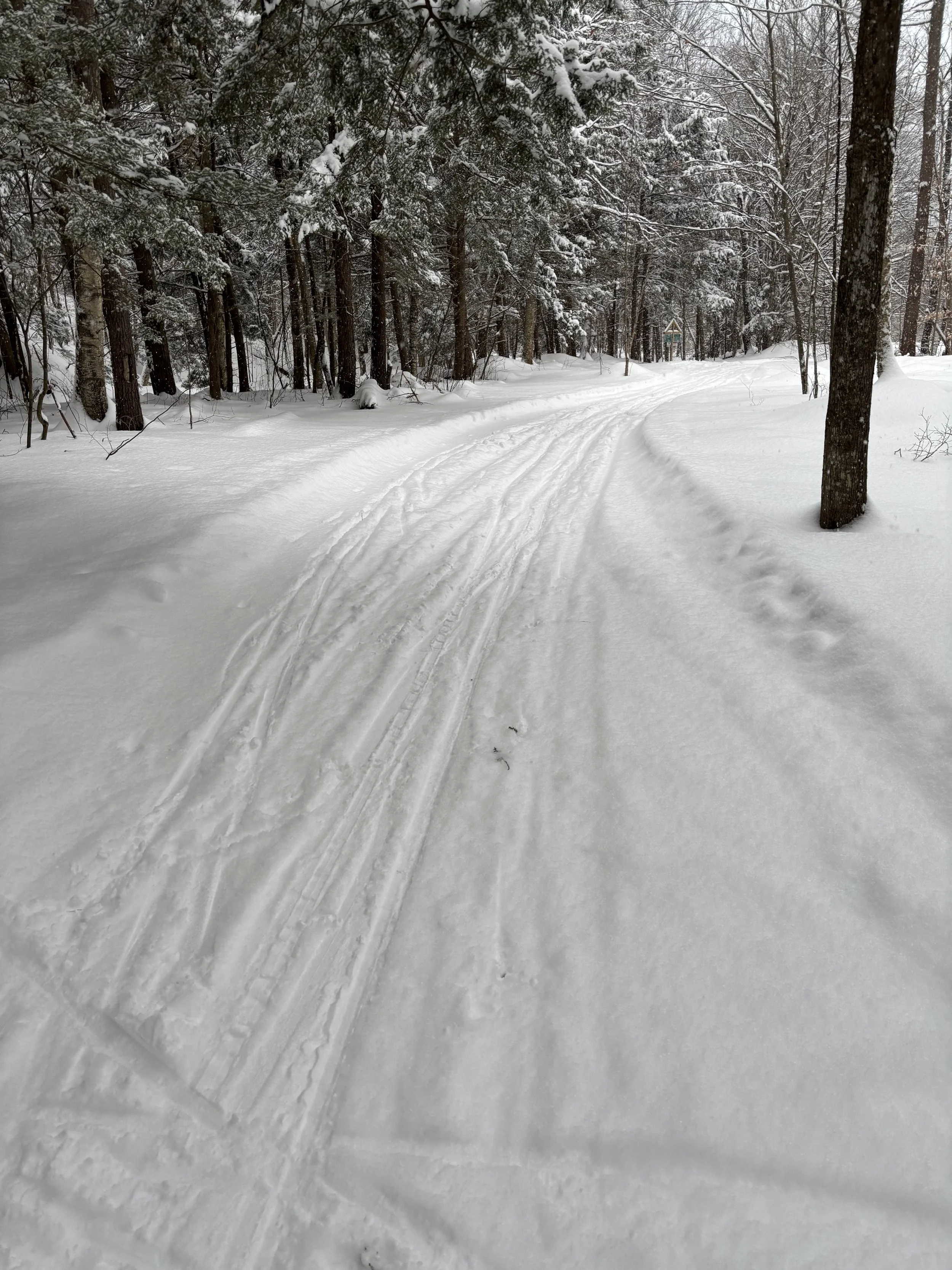 Forever: How to Lead for the Long Run