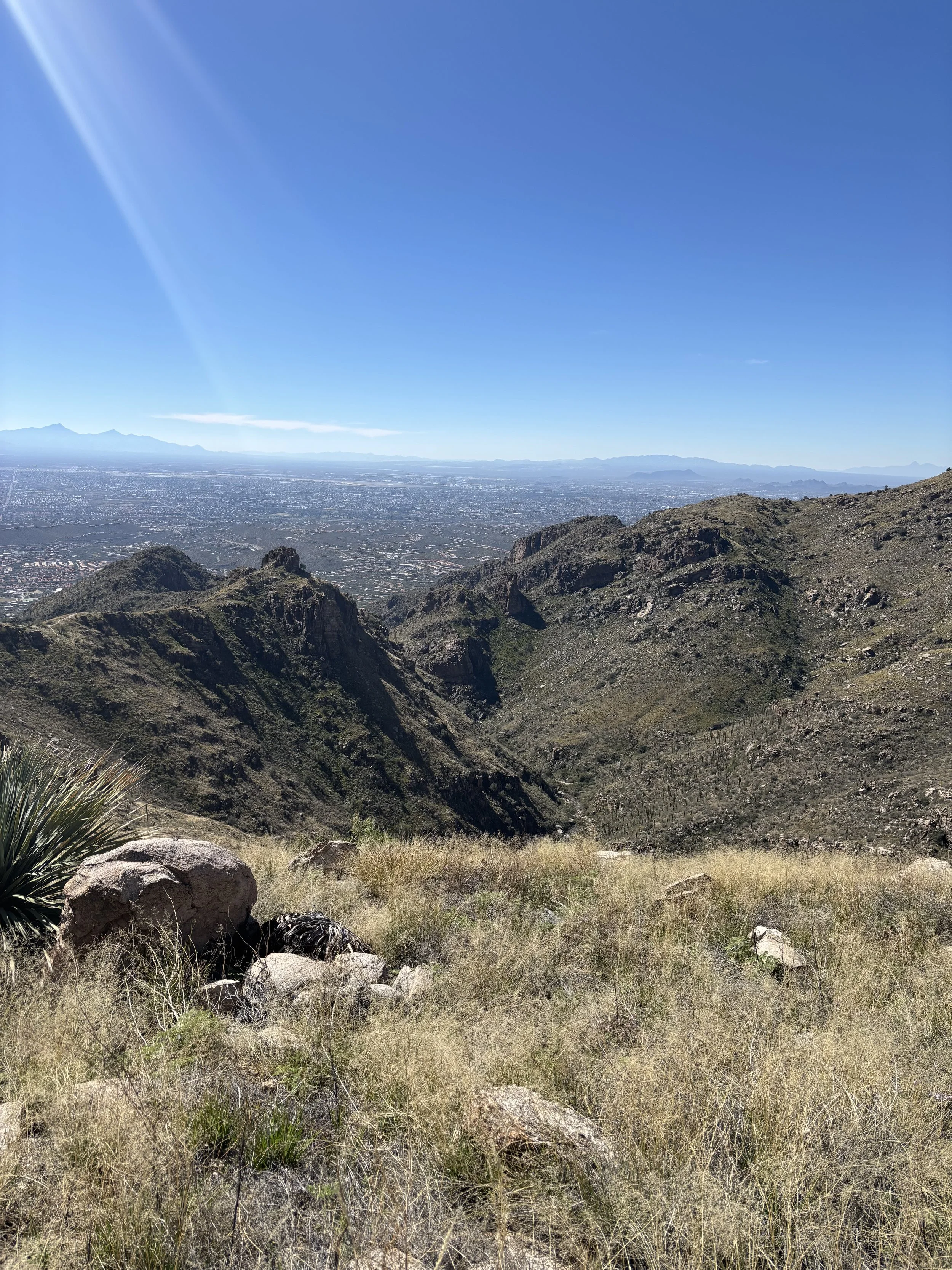 Communication: Techniques to Build Trust and Save Time