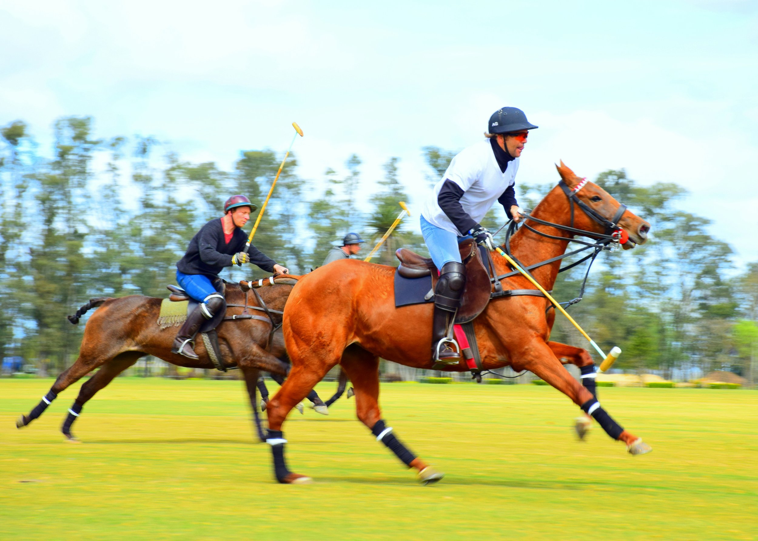 Picnics &amp; Polo: Gold Cup Semi Finals