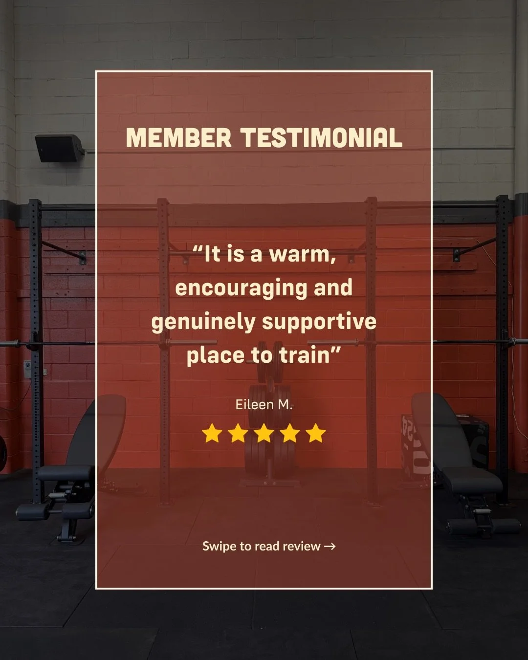 The review was too good it had to be immortalised.

Thanks so much ford the kind word Eileen, you hit the nail on the head with so many things that make this place great.

I think a lot of our members would resonate.