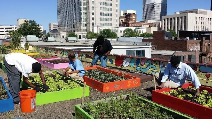 People working in raised garden beds on a rooftop in an urban area, planting and tending vegetables or herbs with city buildings in the background.