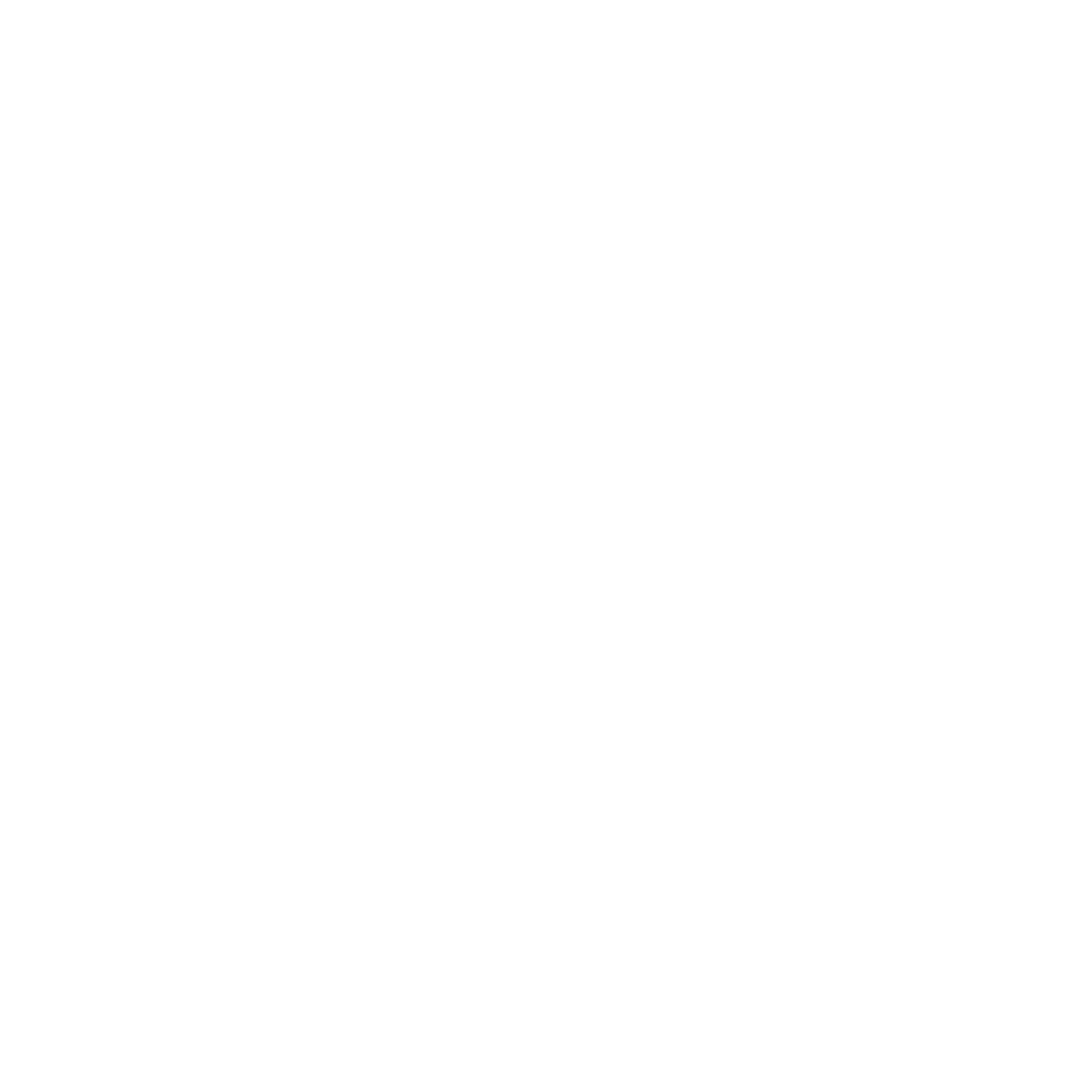 A circle with white radial lines emanating from the center, creating a sunburst or radial pattern