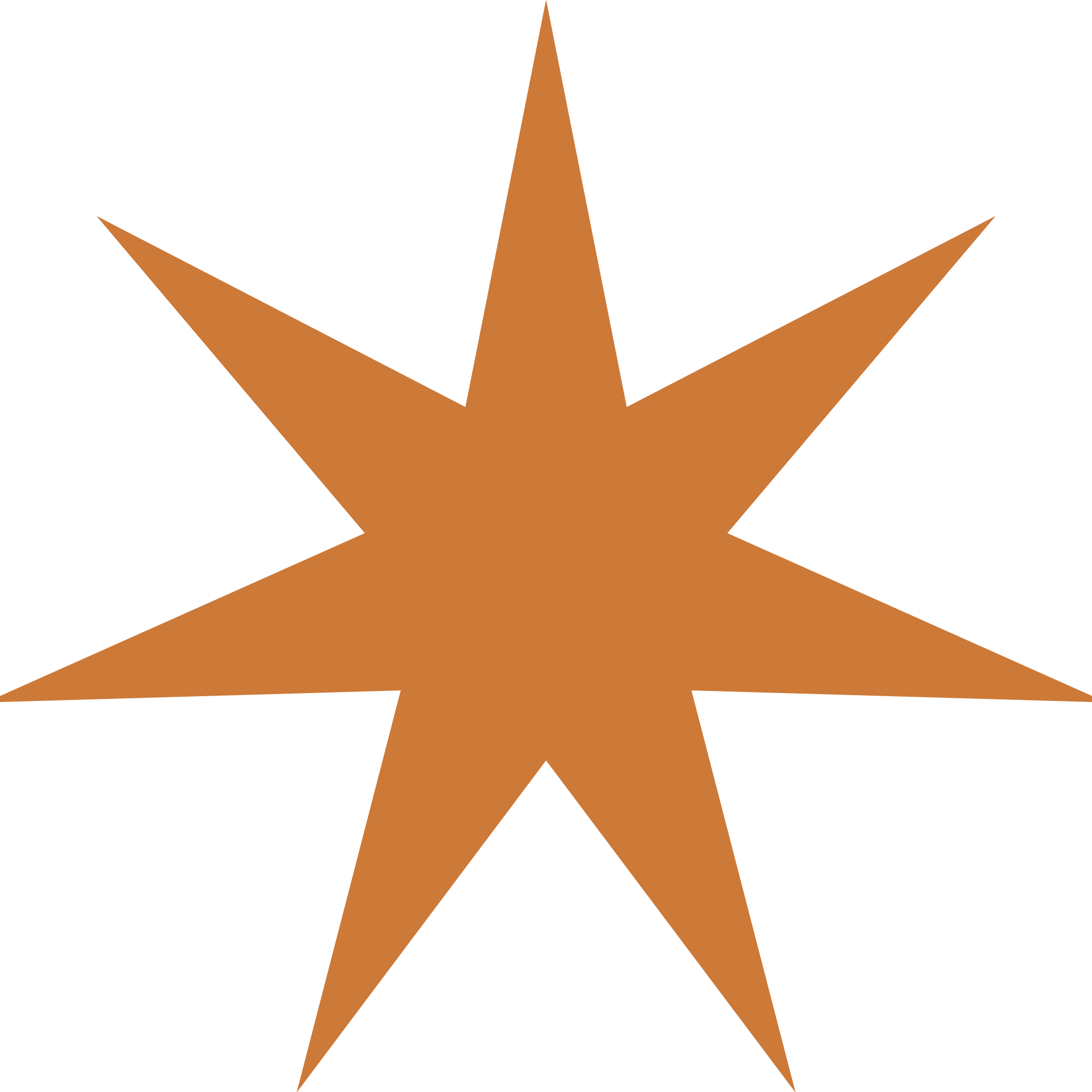 A seven-pointed brown star