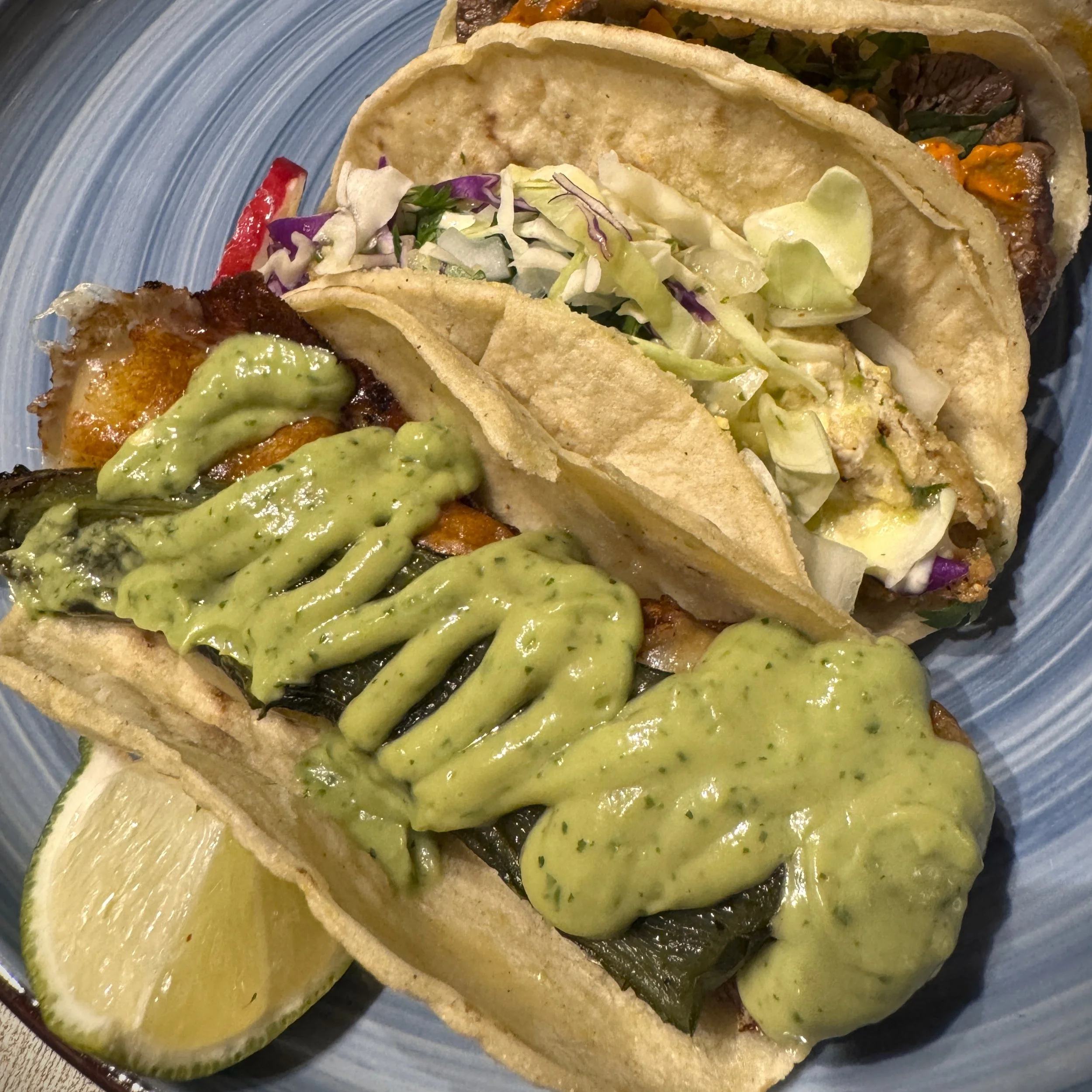 por-que-no-tacos-1x1.JPG