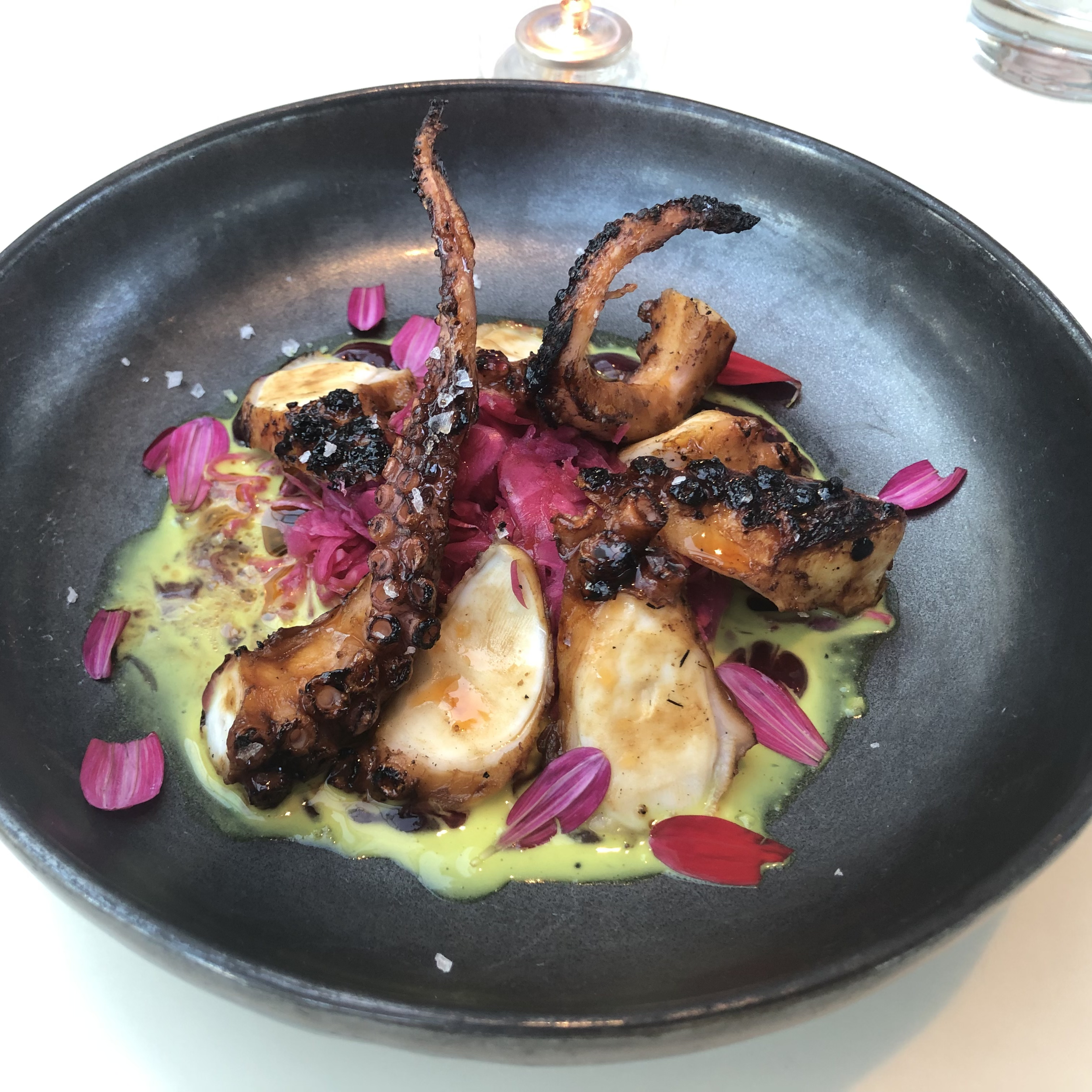 Octopus at Departure