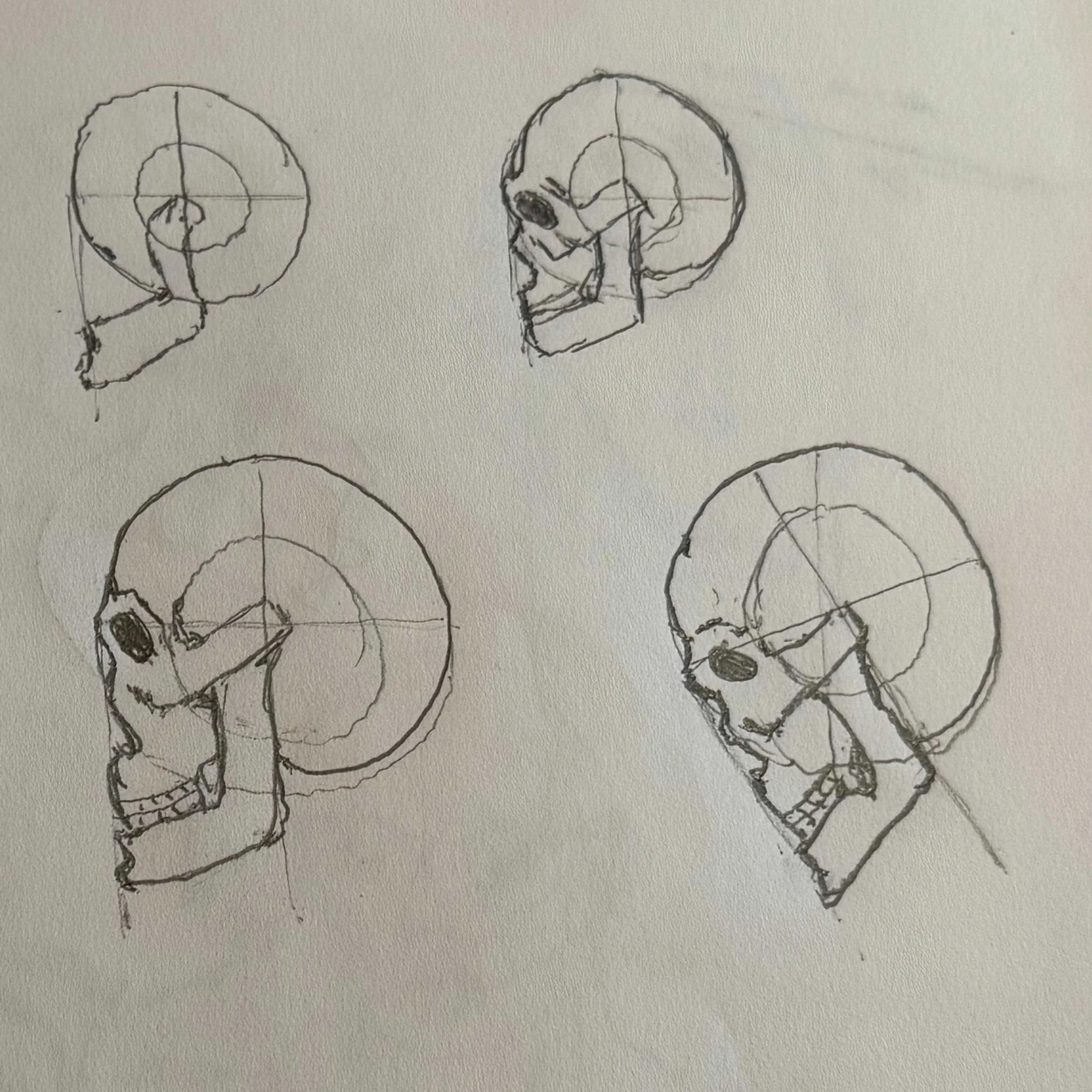 Experimenting with Skulls