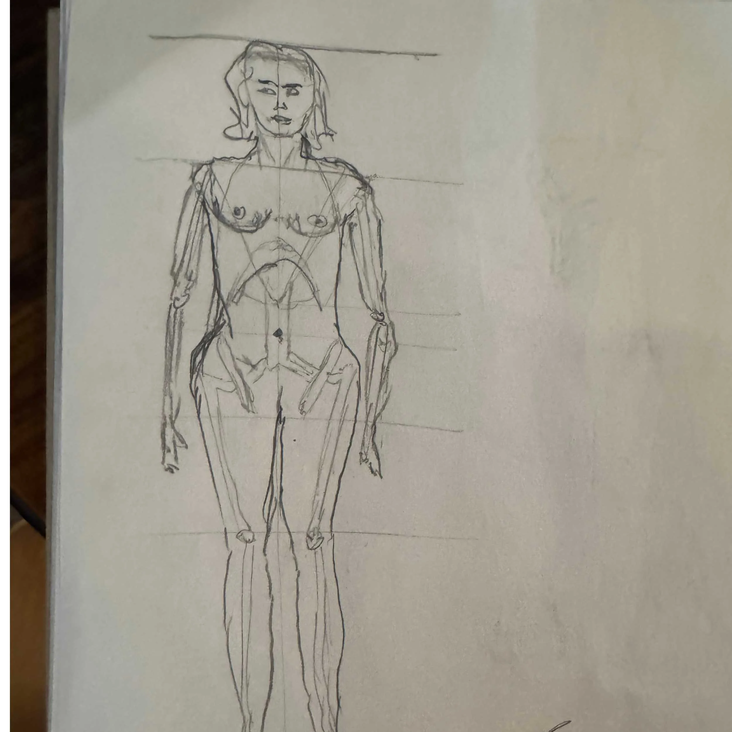 Female Proportions - I