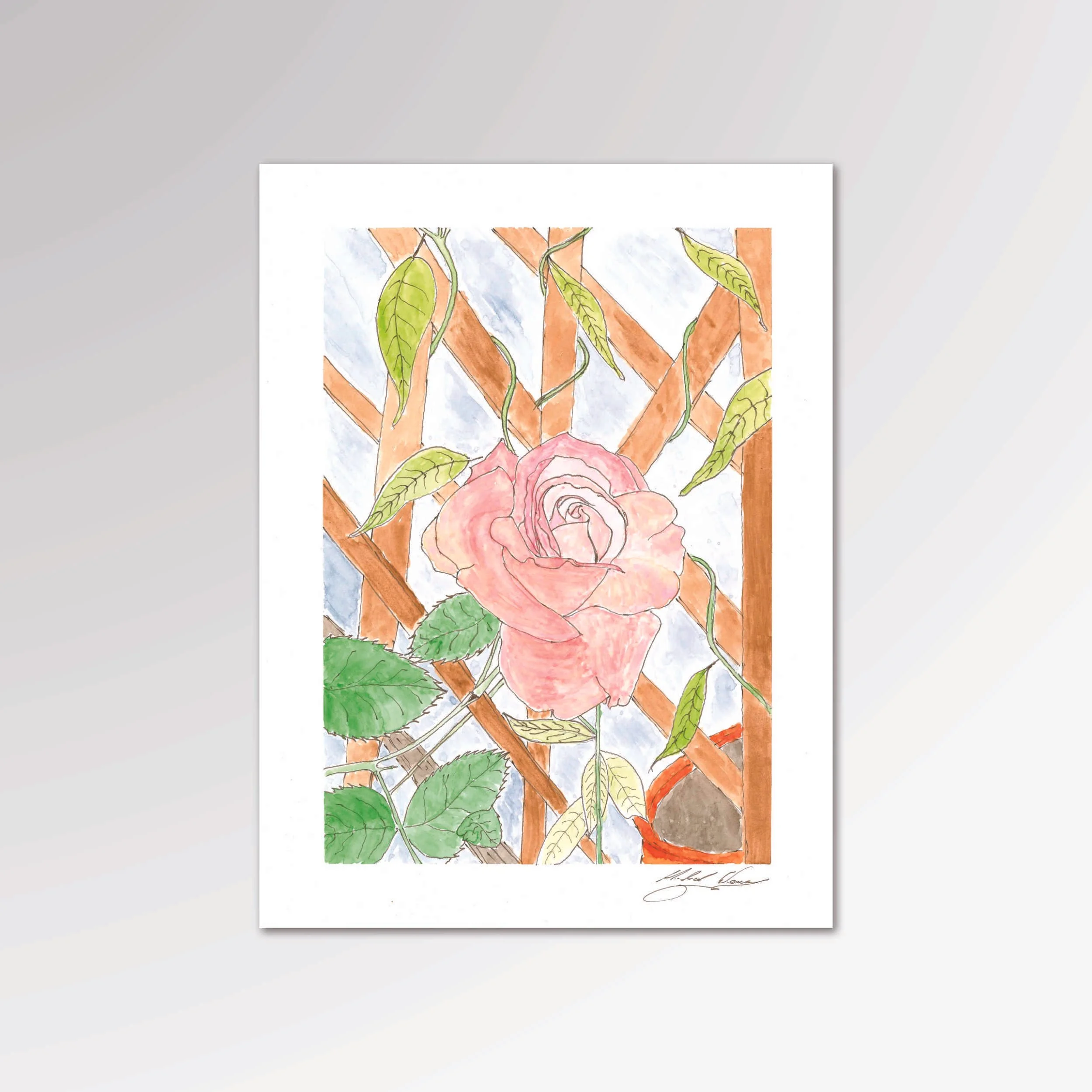 La Rosa Due Cecche - I