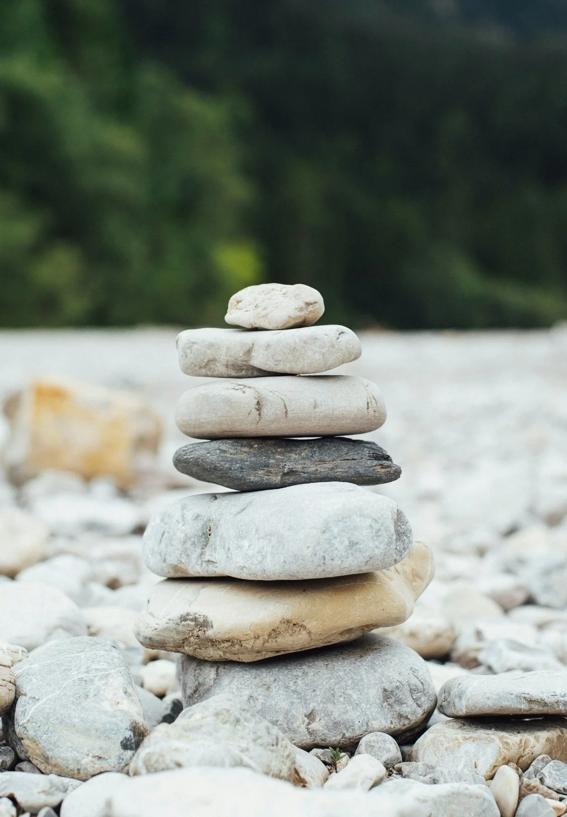 Kirsten - Images (1).jpg