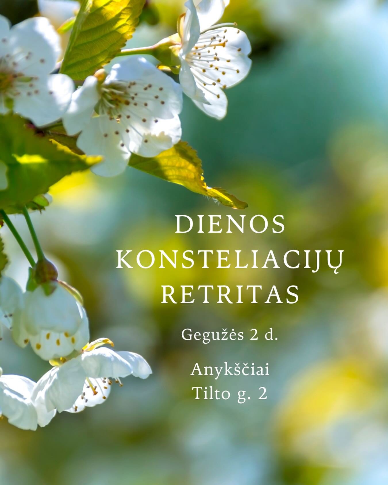 VIENOS DIENOS RETRITAS: Gegužės 2, Anykščiai