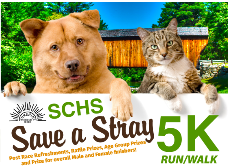 Save A Stray 5k