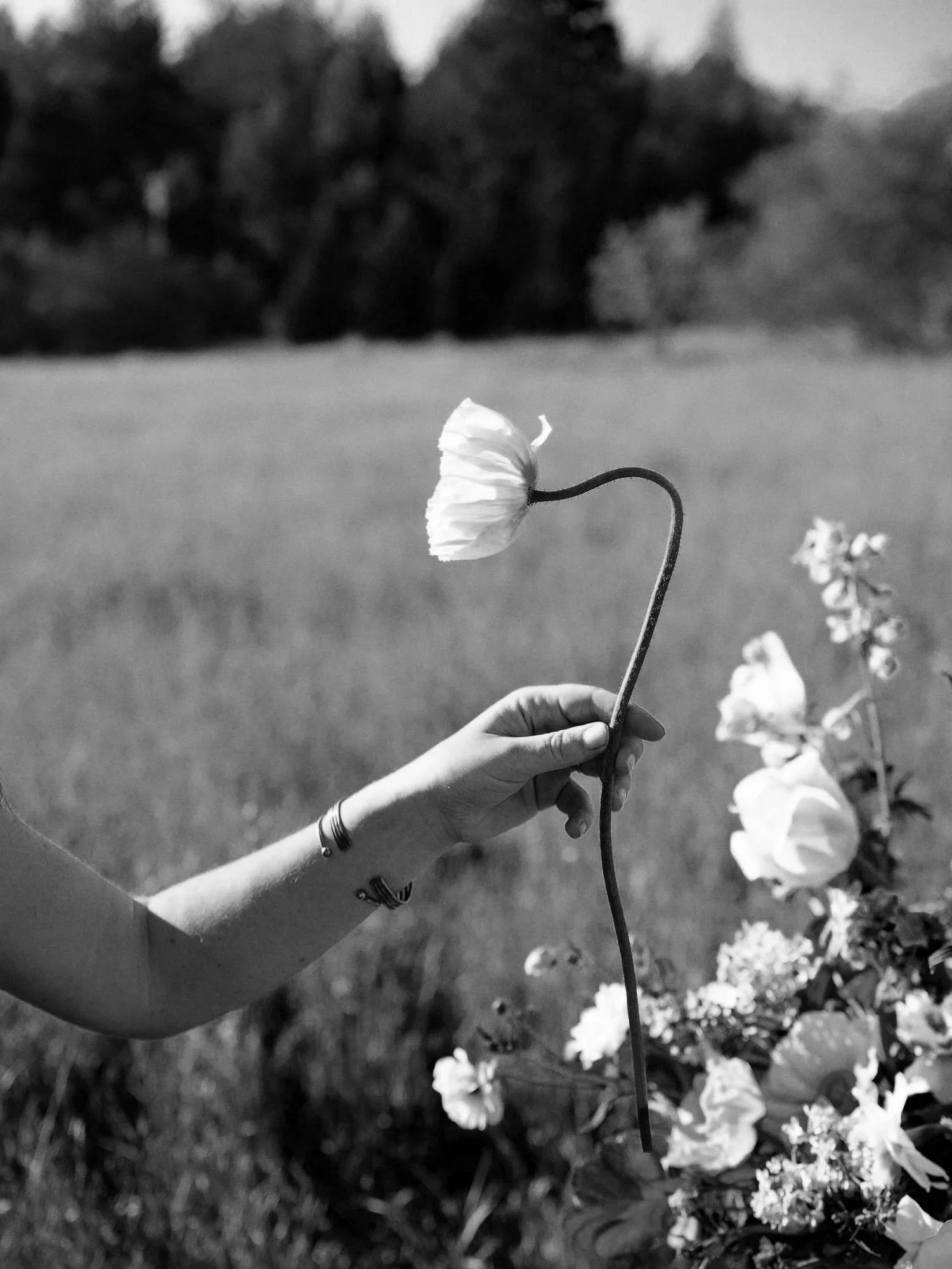 Lauren holding a delicate flower in hand with the flower farm field in background.