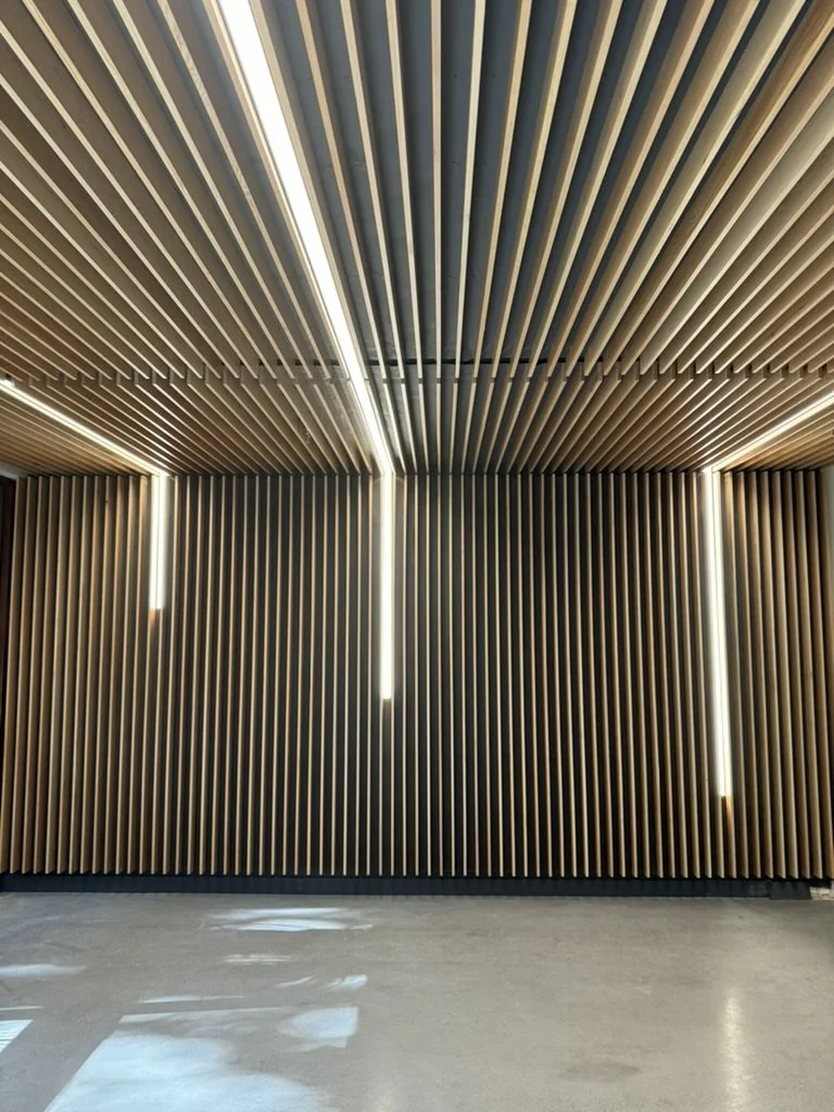Office Tenant Improvements: Linear LED lighting, power, and data rough-in.