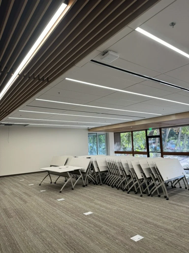 Office Tenant Improvements: Linear LED lighting, power, and data rough-in.