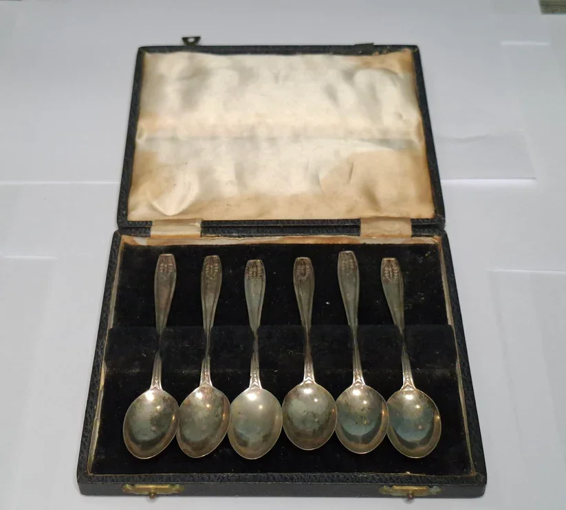 silver-spoons-20260317_1205.webp
