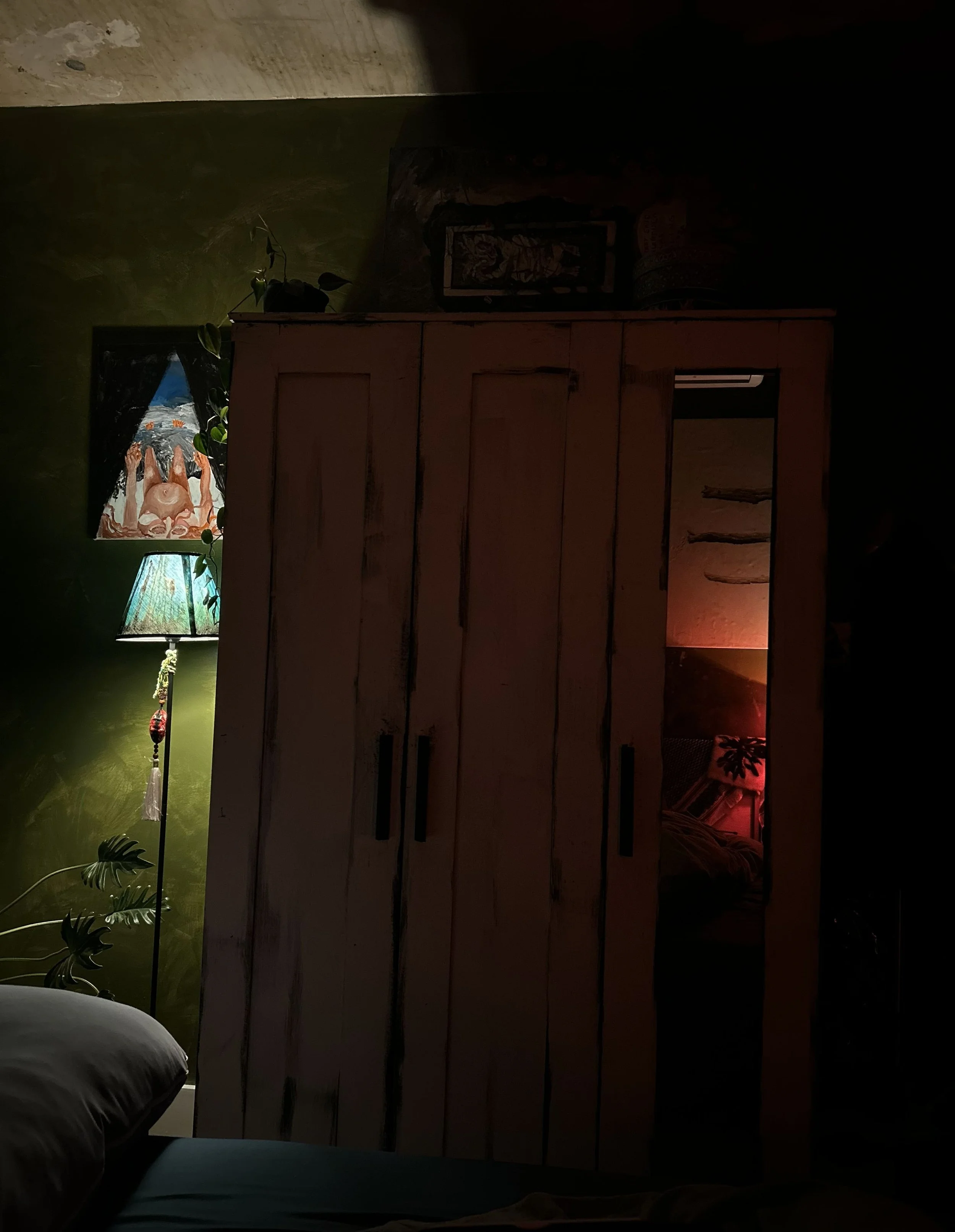 Dimly lit room showing a partially visible bed with white linens, a wooden wardrobe with vertical panels, a colorful table lamp, a plant with large leaves, and a wall art featuring animals.