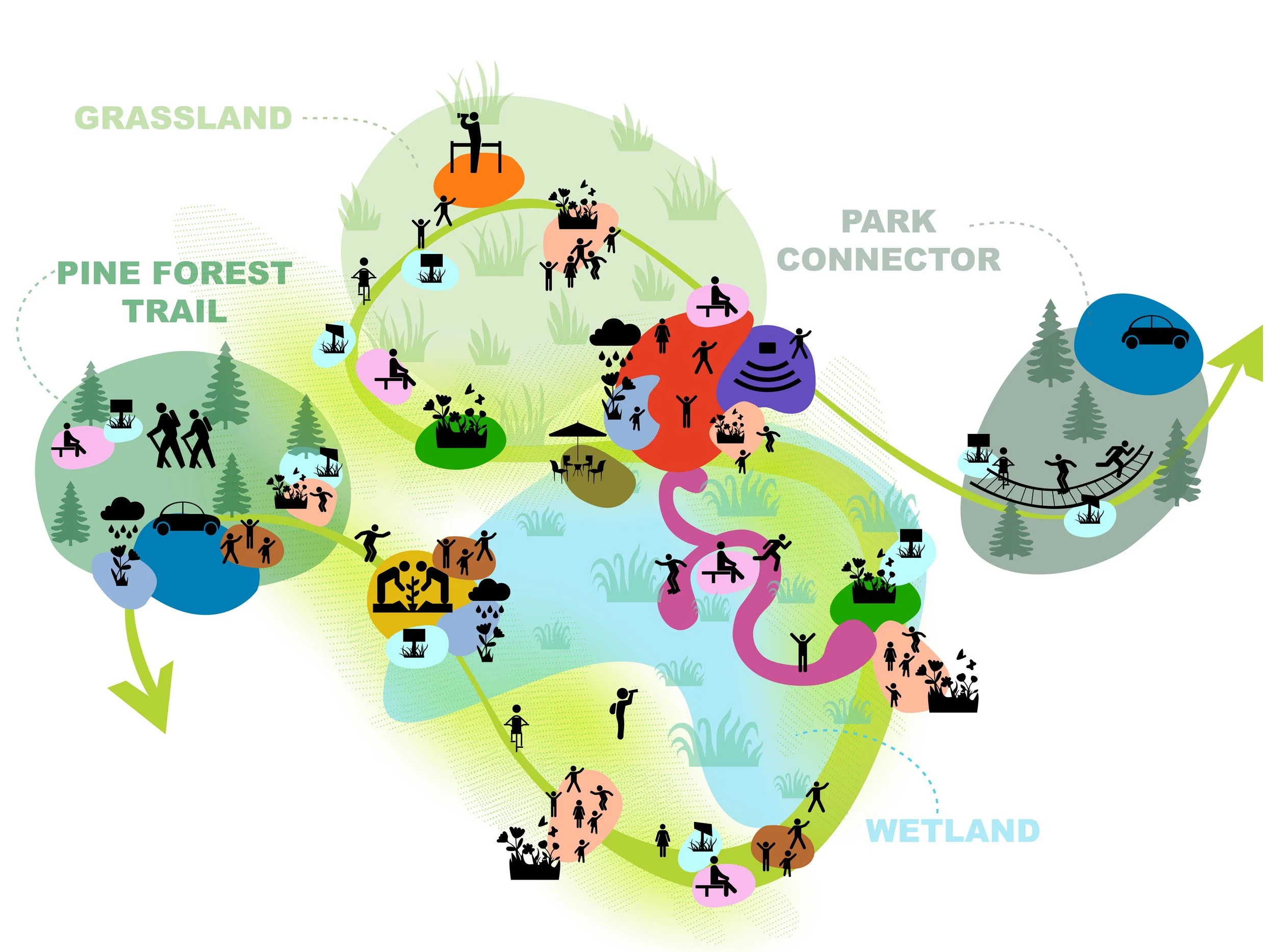 Illustration of a park trail system with various recreational areas including pine forest trail, wetlands, park connector, and grassland. It shows people walking, biking, sitting, fishing, and enjoying nature across different sections connected by pa