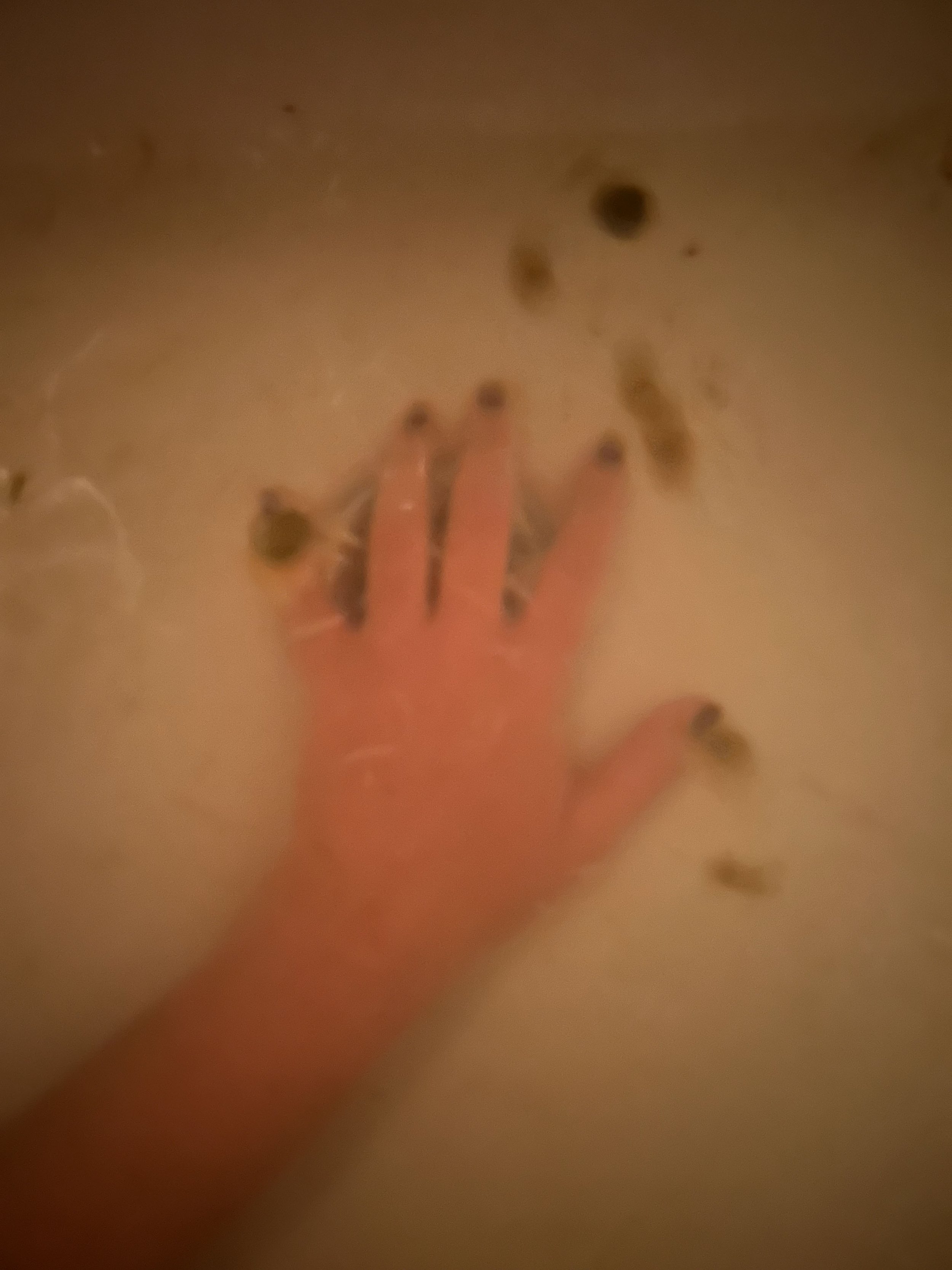A hand reaching into a tub of warm water with small black objects floating on the surface.