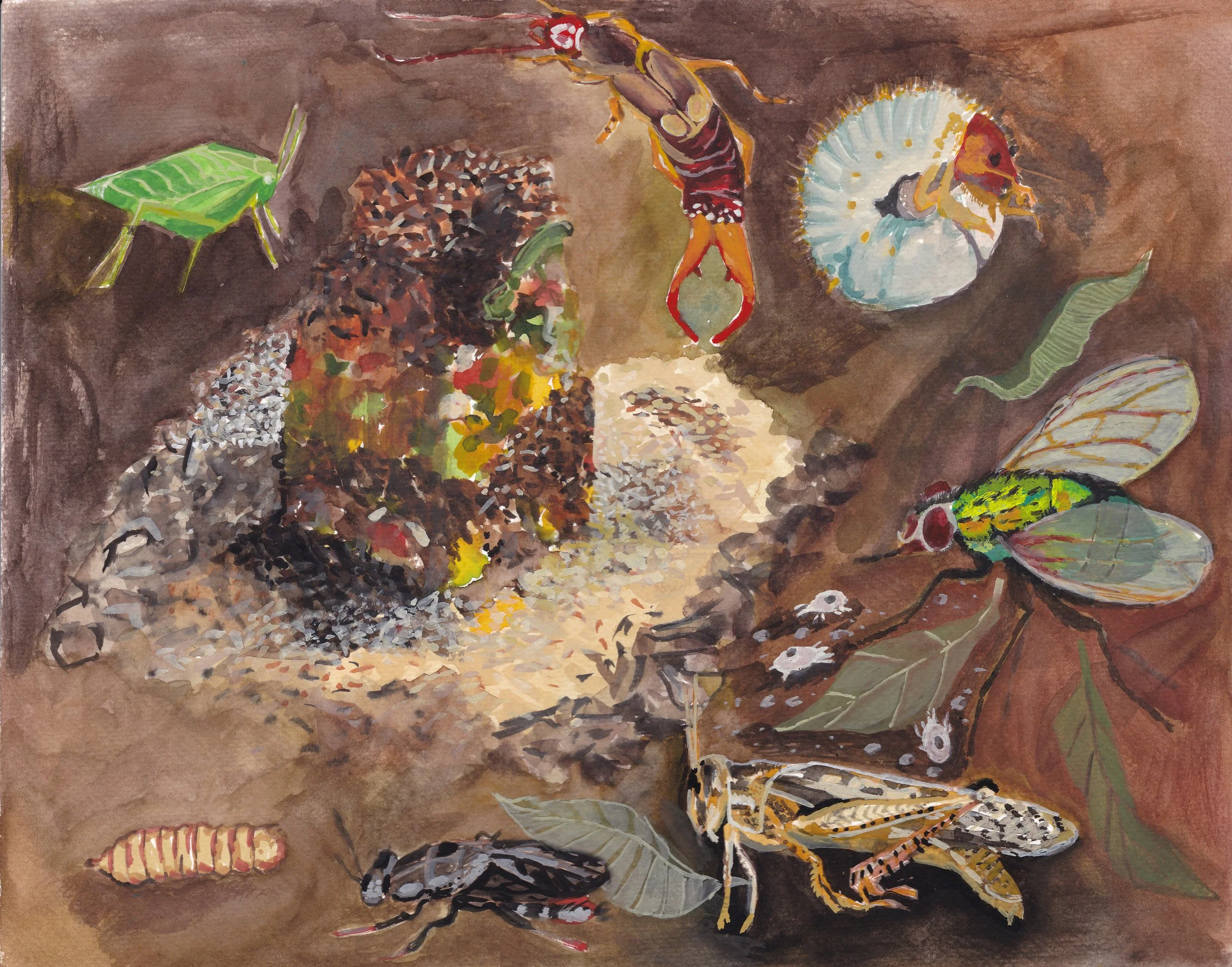 A watercolor painting depicts various insects, arachnids, and small creatures on a brown background. The creatures include a green grasshopper, a red and black mantis, a white and orange caterpillar, a large fly, a wasp, a beetle, and a centipede, al