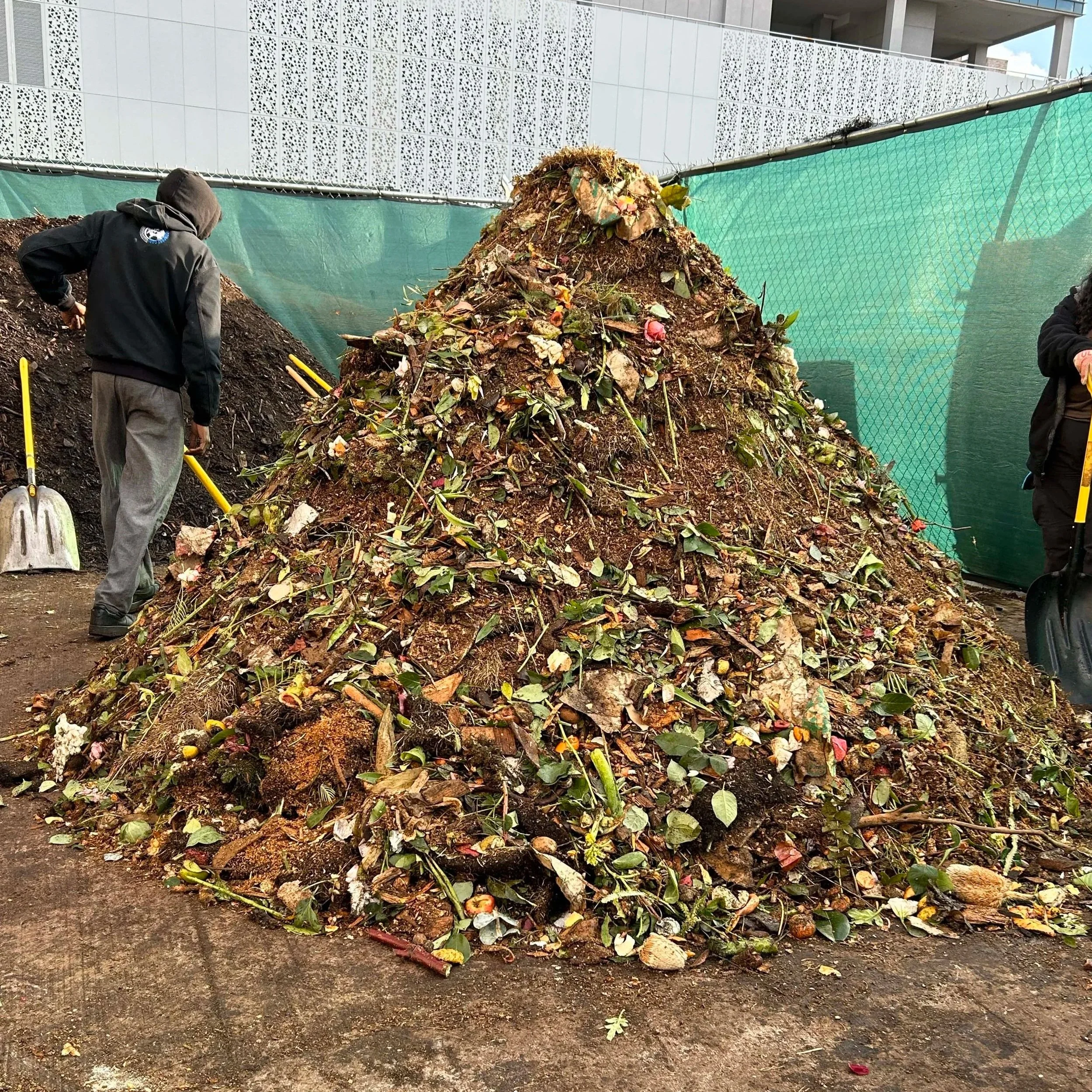 A large pile of compost or soil with leaves, plant debris, and organic waste, with people shoveling around it.