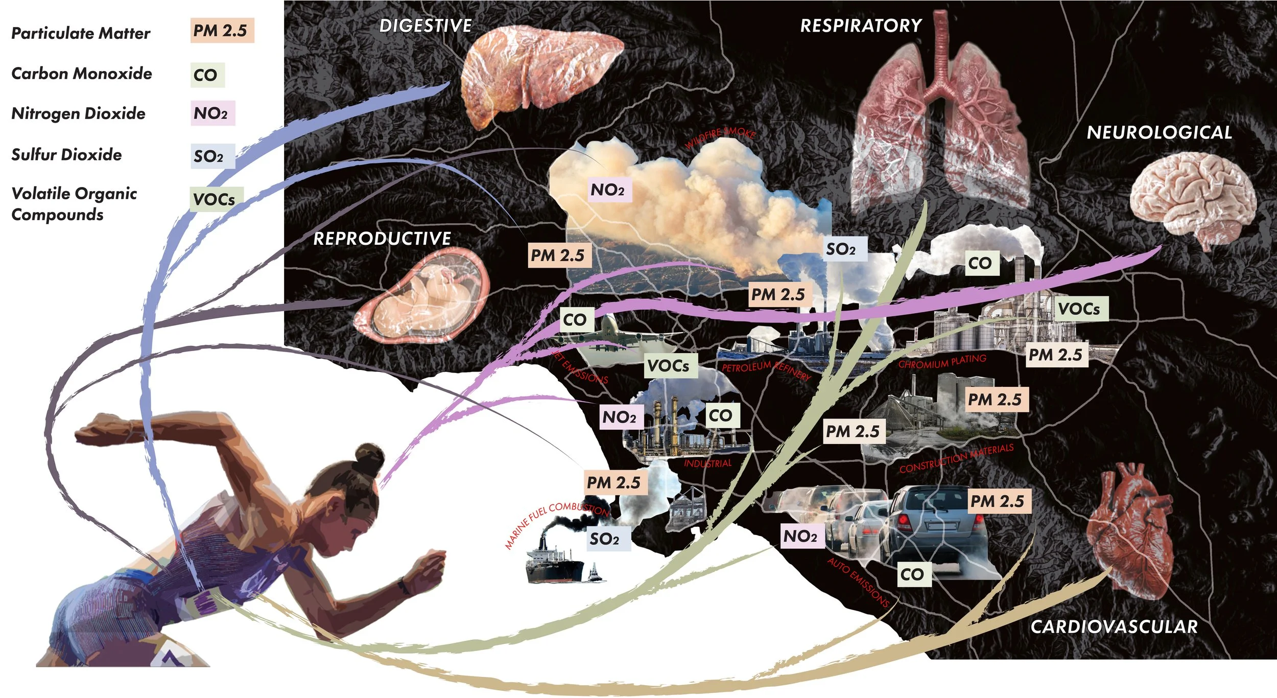 An infographic showing the effects of air pollution from different sources on various parts of the human body. It depicts how emissions from marine fuel combustion, industrial activities, cars, and construction materials release pollutants such as PM 2.5, CO, NO2, SO2, and VOCs, impacting the reproductive, digestive, respiratory, neurological, and cardiovascular systems with visual representations of affected organs and chemical connections.