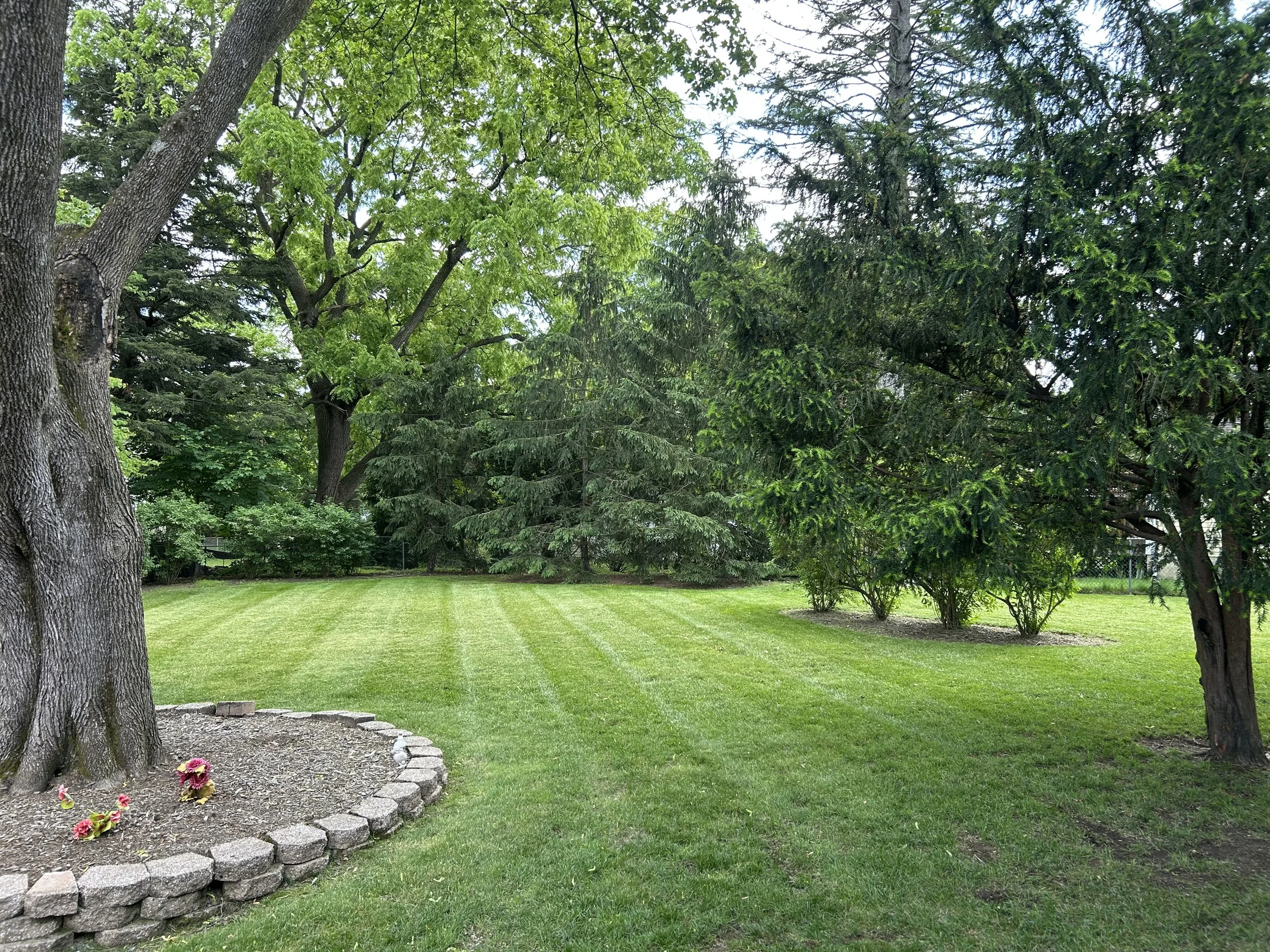 A lush green backyard with well-manicured grass, large mature trees, and a flower bed bordered by stones. The scene appears peaceful and well-maintained.