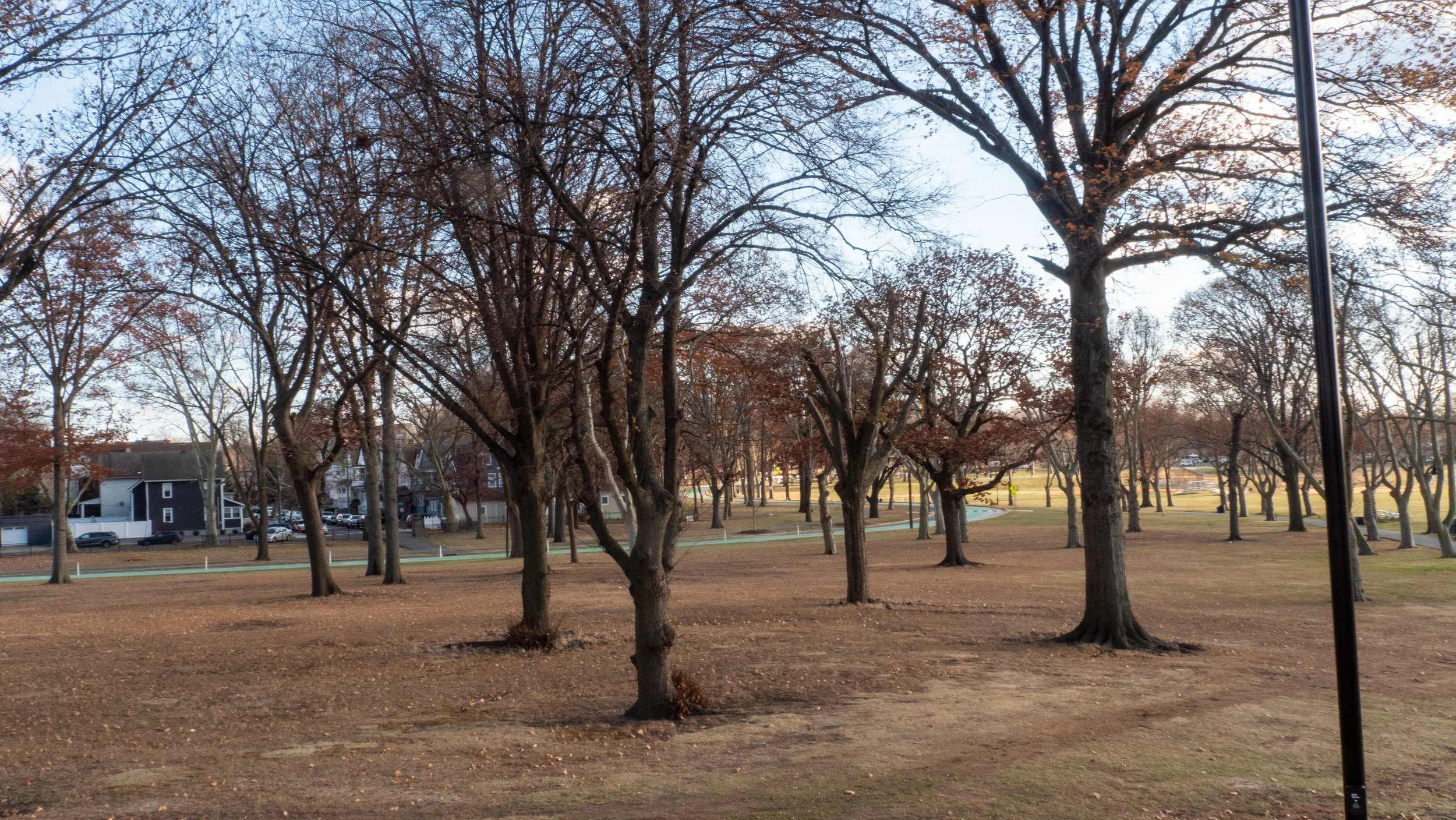 A park with leafless trees, brown grass, and a few houses in the background during late autumn or early winter.