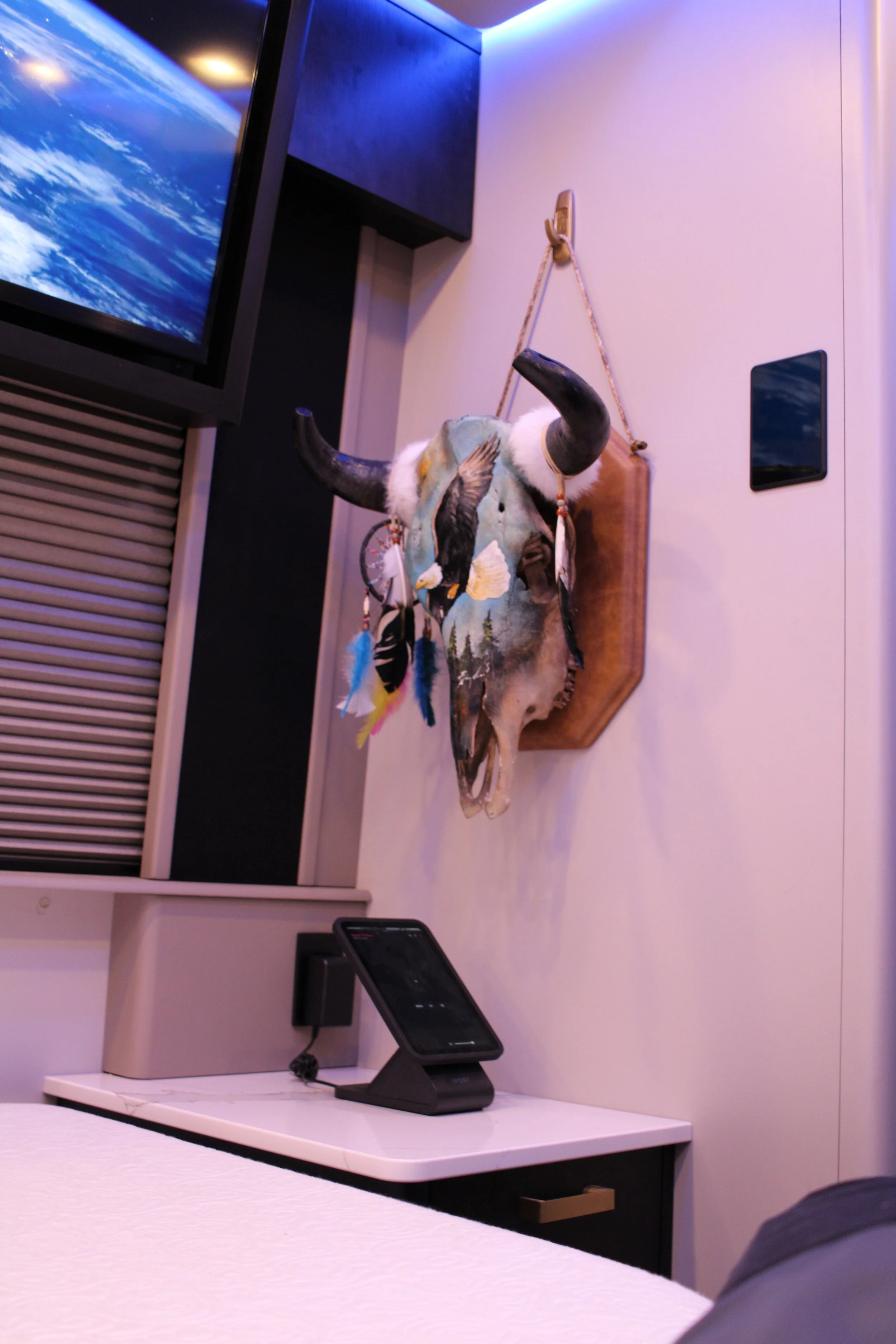 A mounted animal skull with black horns, decorated with a colorful feather arrangement, hangs on a wooden plaque on the wall in a modern room.