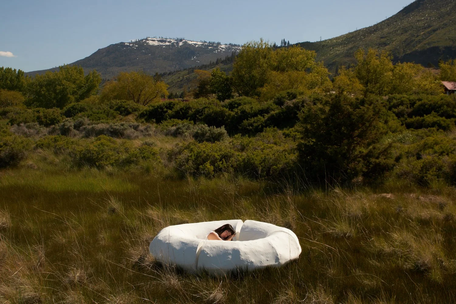 NEST_07_web.jpg