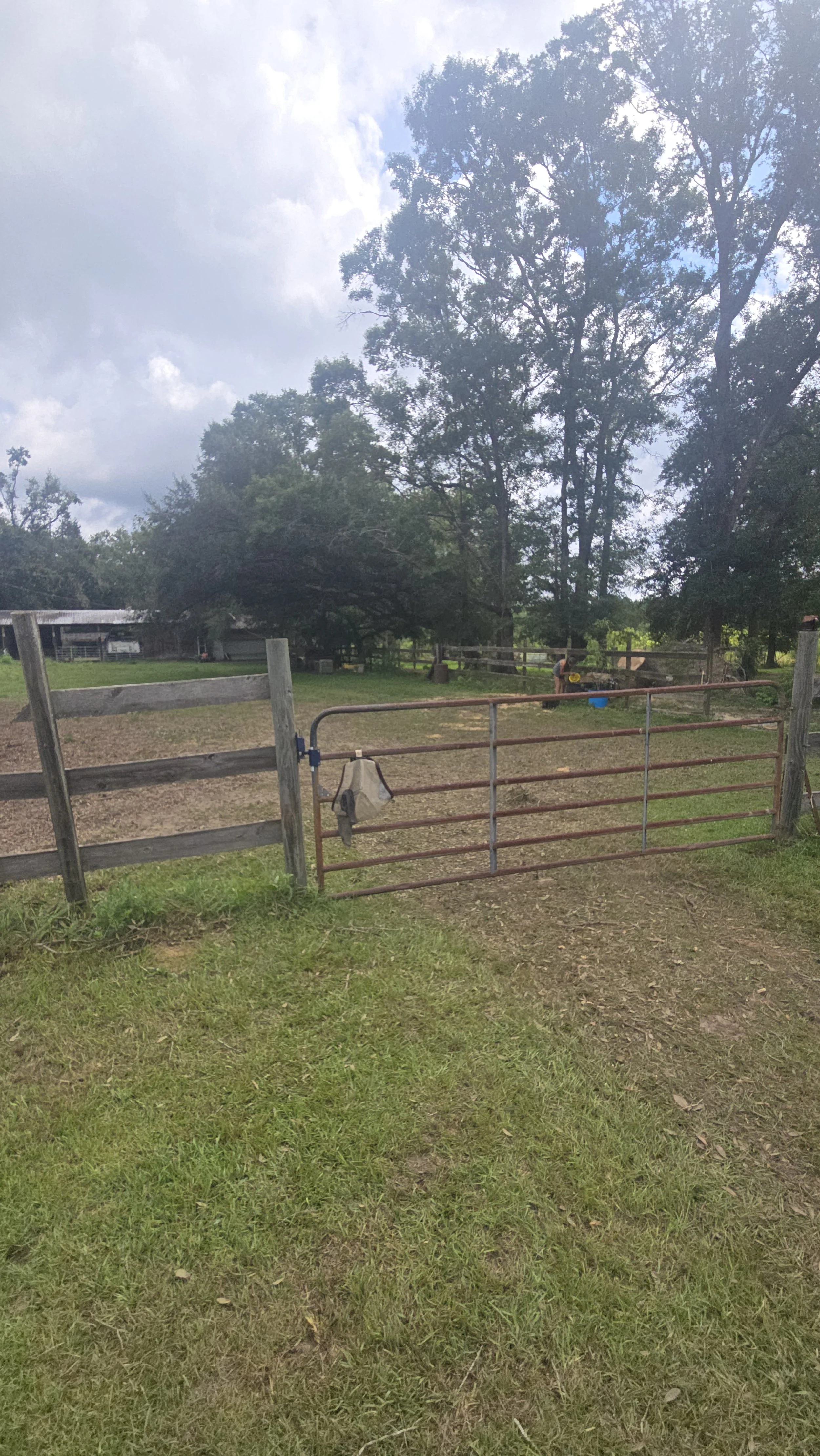 A farm scene with a metal gate in the foreground, a fenced pastured area with patches of grass and dirt, and a person in the background near a small structure, surrounded by large trees and a partly cloudy sky.