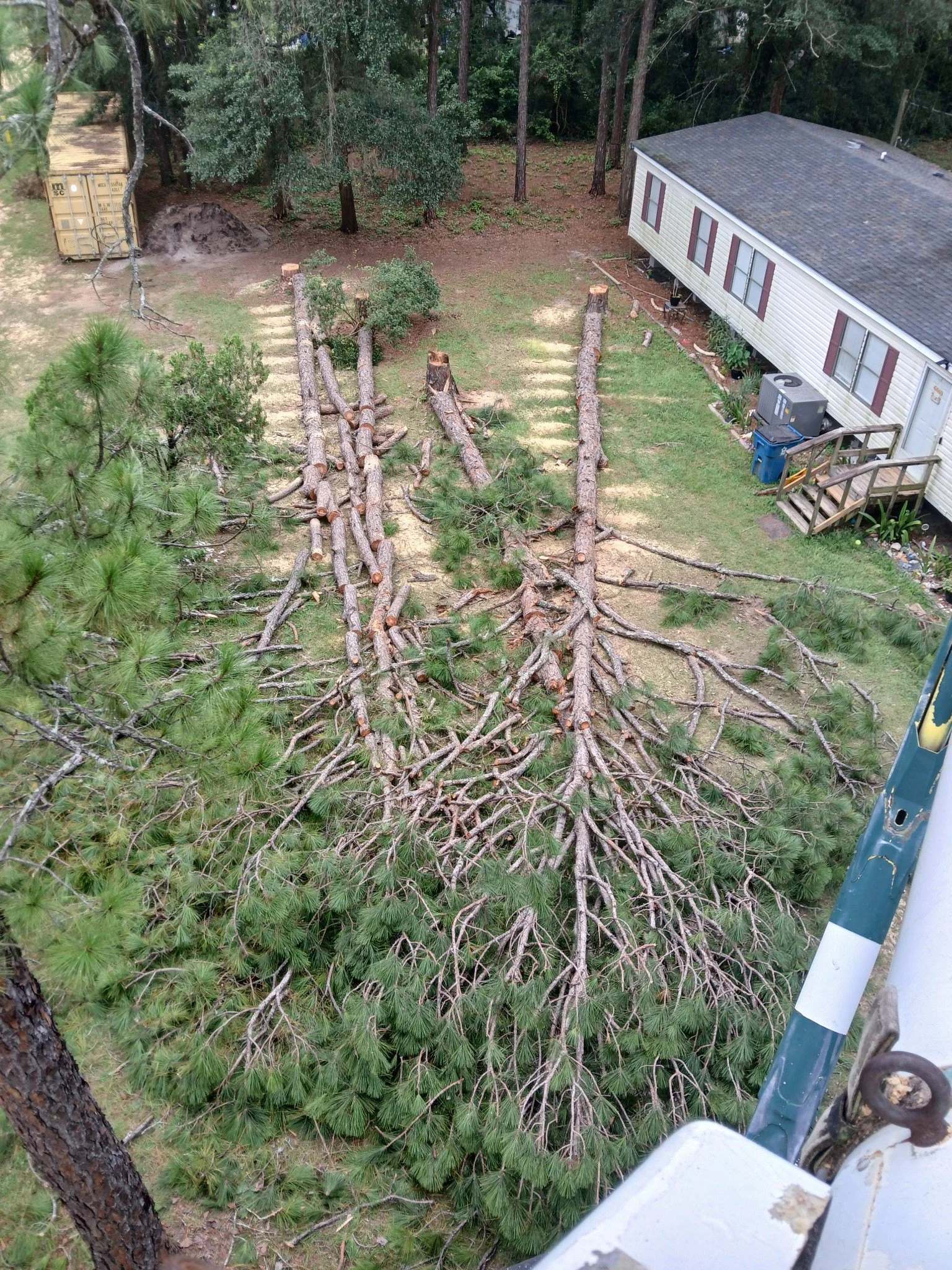 View from a height showing fallen tree branches on the ground in a residential backyard, with a mobile home and a wooded area in the background.