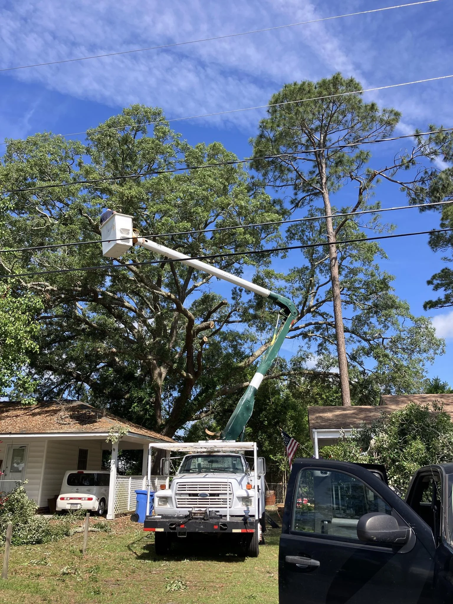 Tree maintenance worker using bucket truck to trim tall trees in residential yard under blue sky, with utility lines visible.