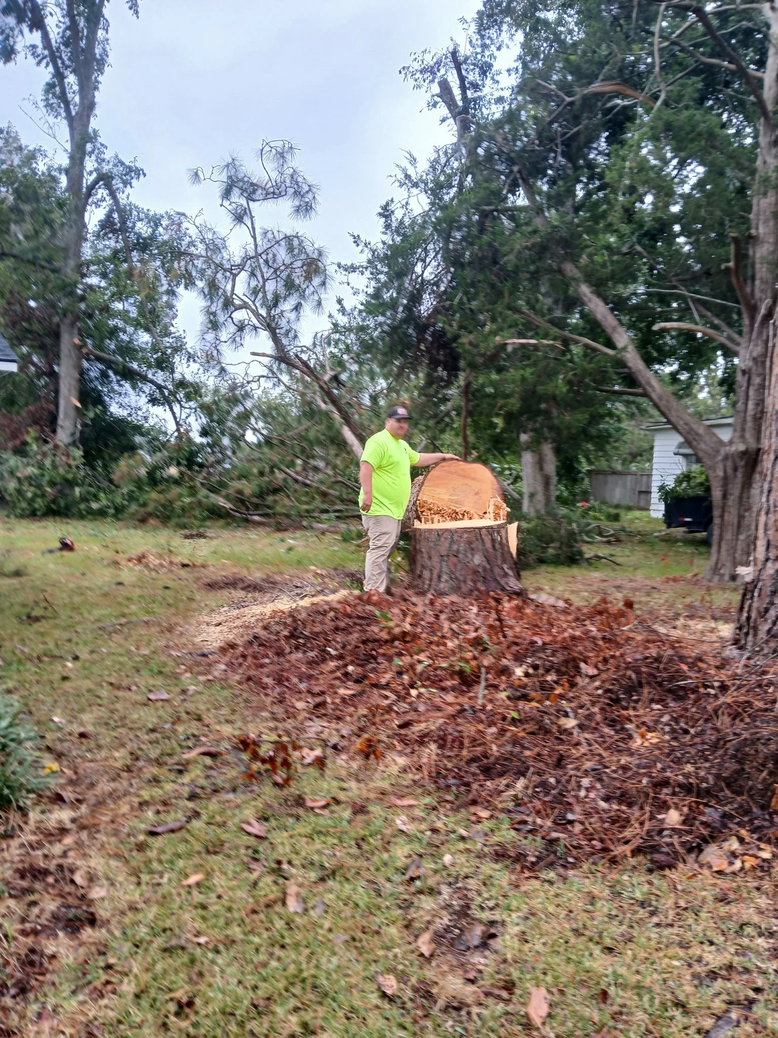A man in a neon yellow shirt and beige pants standing next to a large fallen tree with a freshly cut trunk in a residential yard.